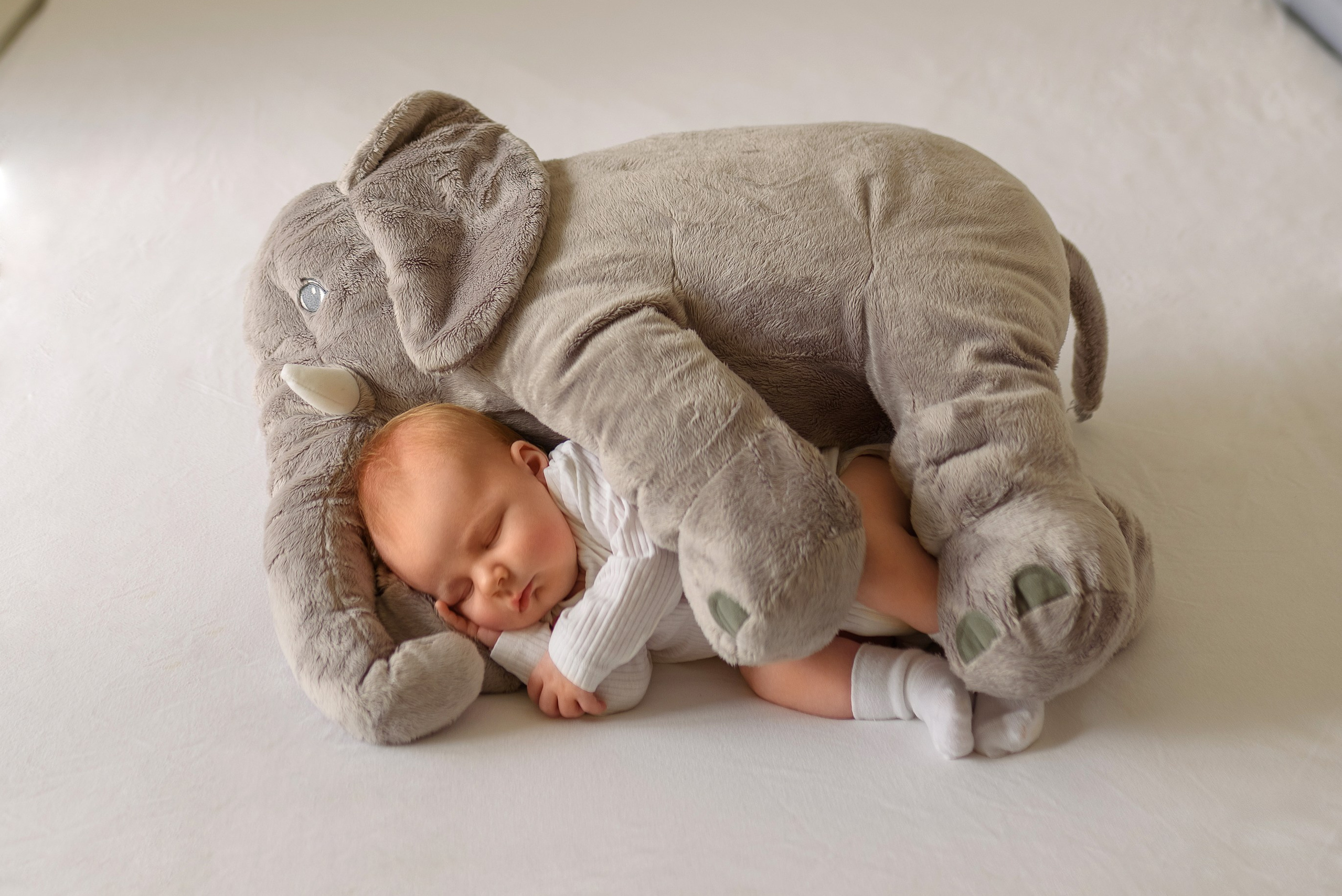 Фотосессия новорожденных и детей до 1 года. Семейный фотограф и фотограф новорожденных в Вильнюсе Ирина Беленкевич