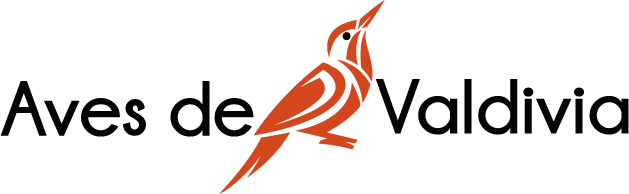 Avesdevaldivia