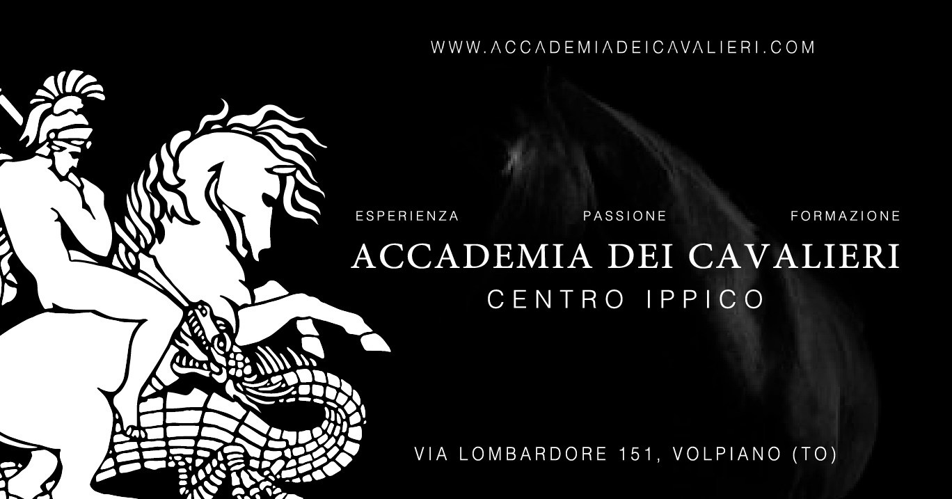 Accademia Dei Cavalieri - brand identity. Aura Studio / co-design space