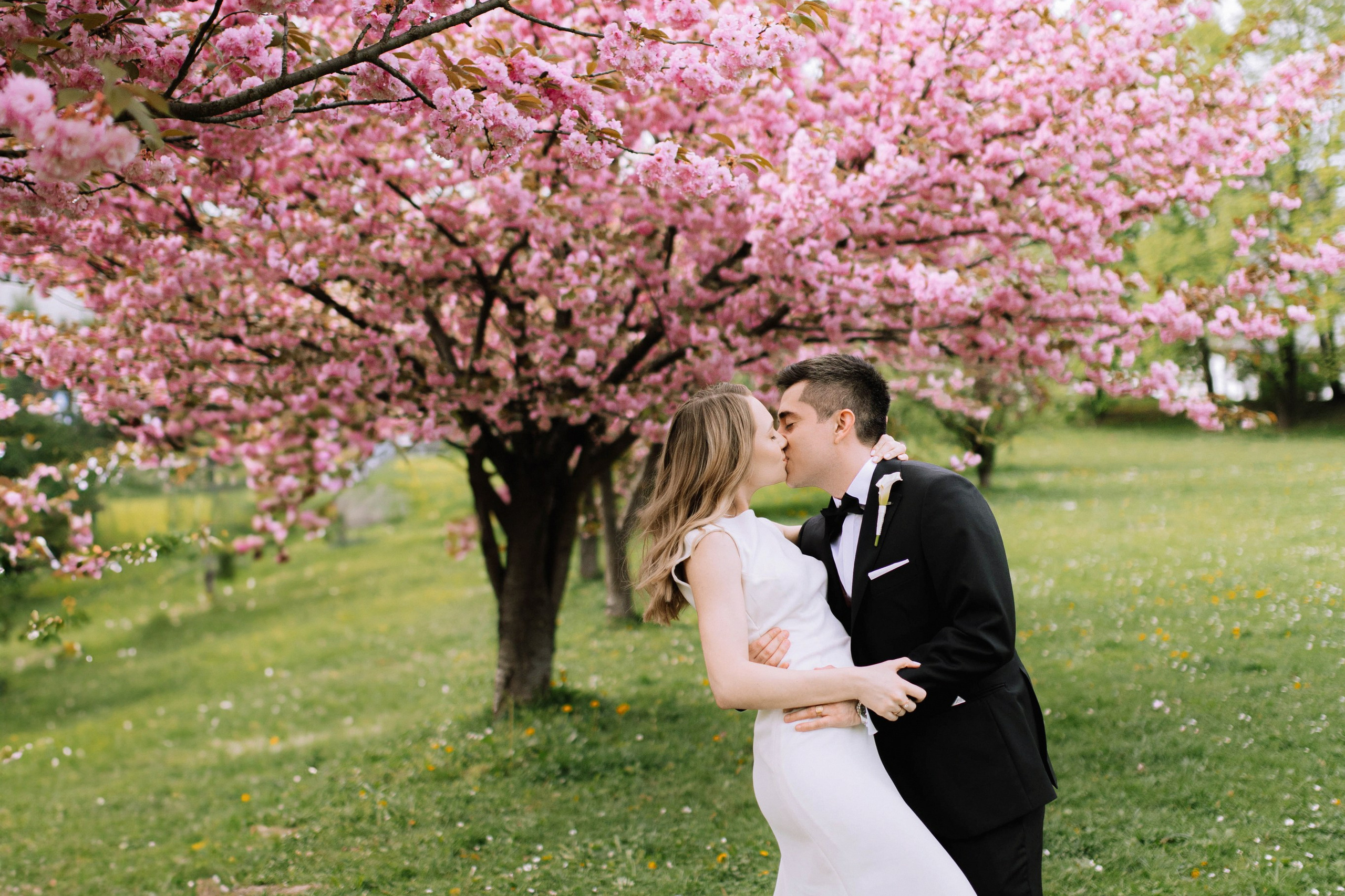 Услуги. Свадебный фотограф Виктория Санюк