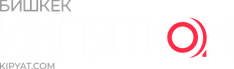 bishkek-kipyat.com