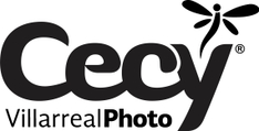 cecyvillarrealphoto.com