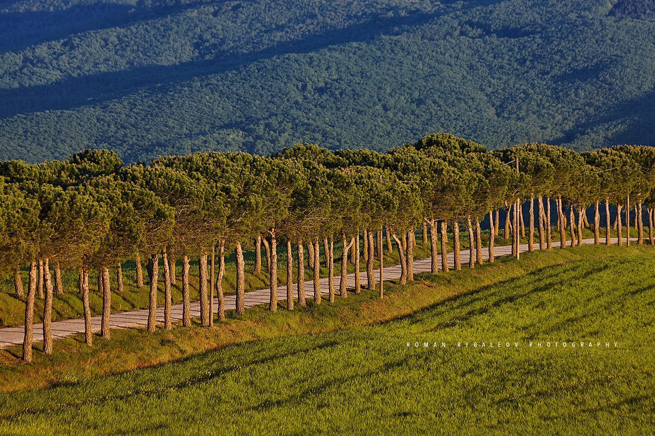 CAFE DEL PHOTO #89 «Рождённые в борделях». Школа Фотографии Романа Рыбалёва. Город Кишинёв, Молдова
