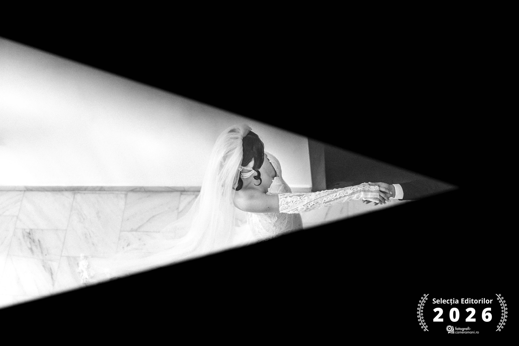 Fotografii premiate la diferite concursuri