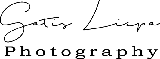 gatisliepa.wfolio.pro