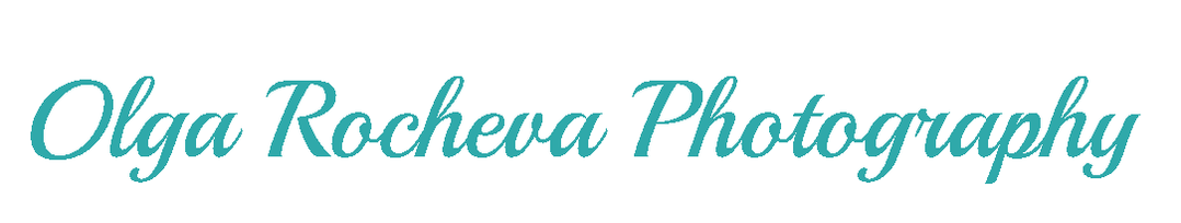 olgarocheva.wfolio.pro