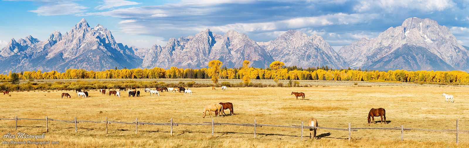 Фото - тур  “Удивительный Северо-Запад США”. Alex Mironyuk Photography
