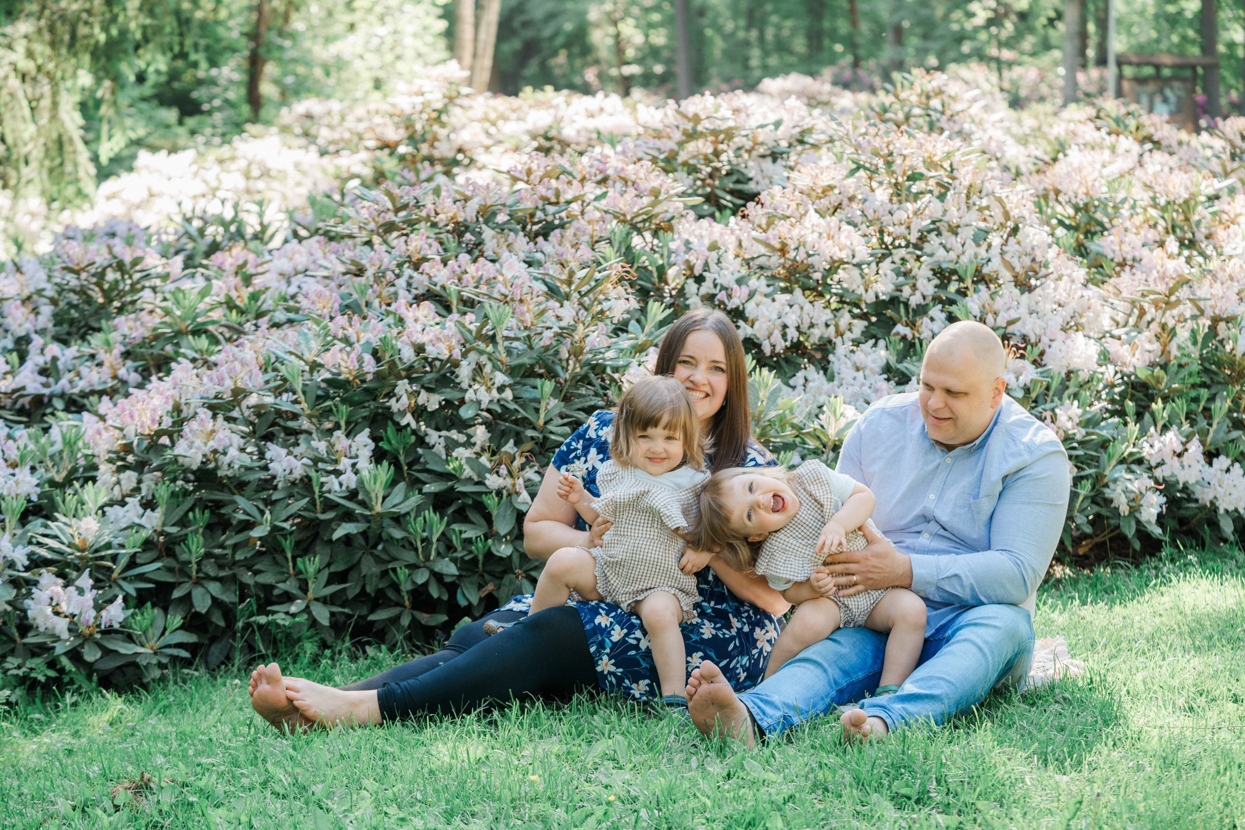 Perhekuvaus alppiruusupuistossa