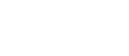 allsecdti.wfolio.pro