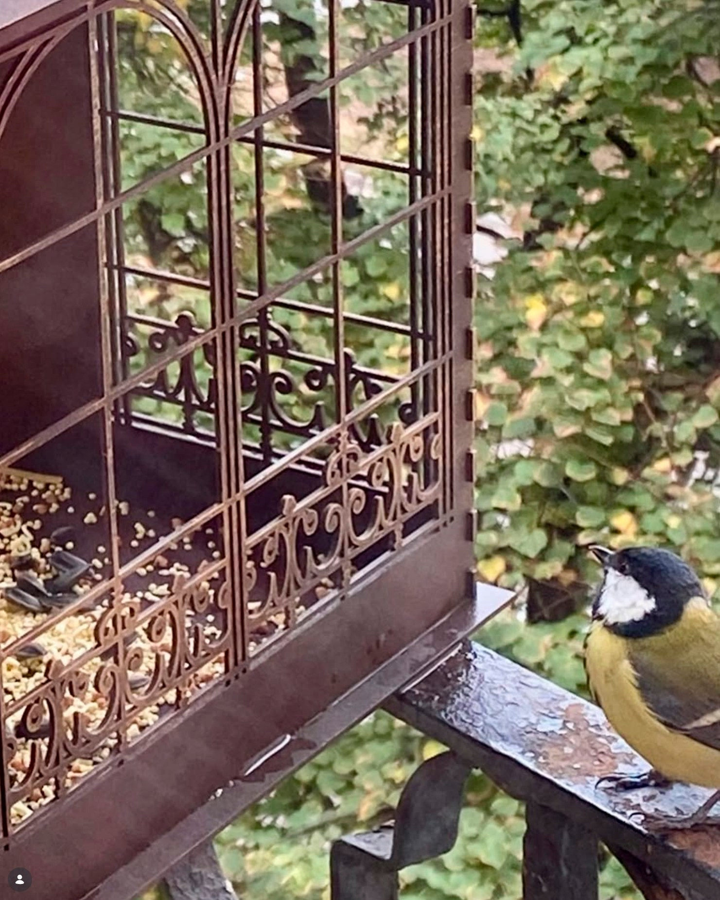 Кормушки для птиц из металла под заказ | Художественная ковка в Минске. Мария Тарлецкая | Скульптура и художественная ковка в Минске