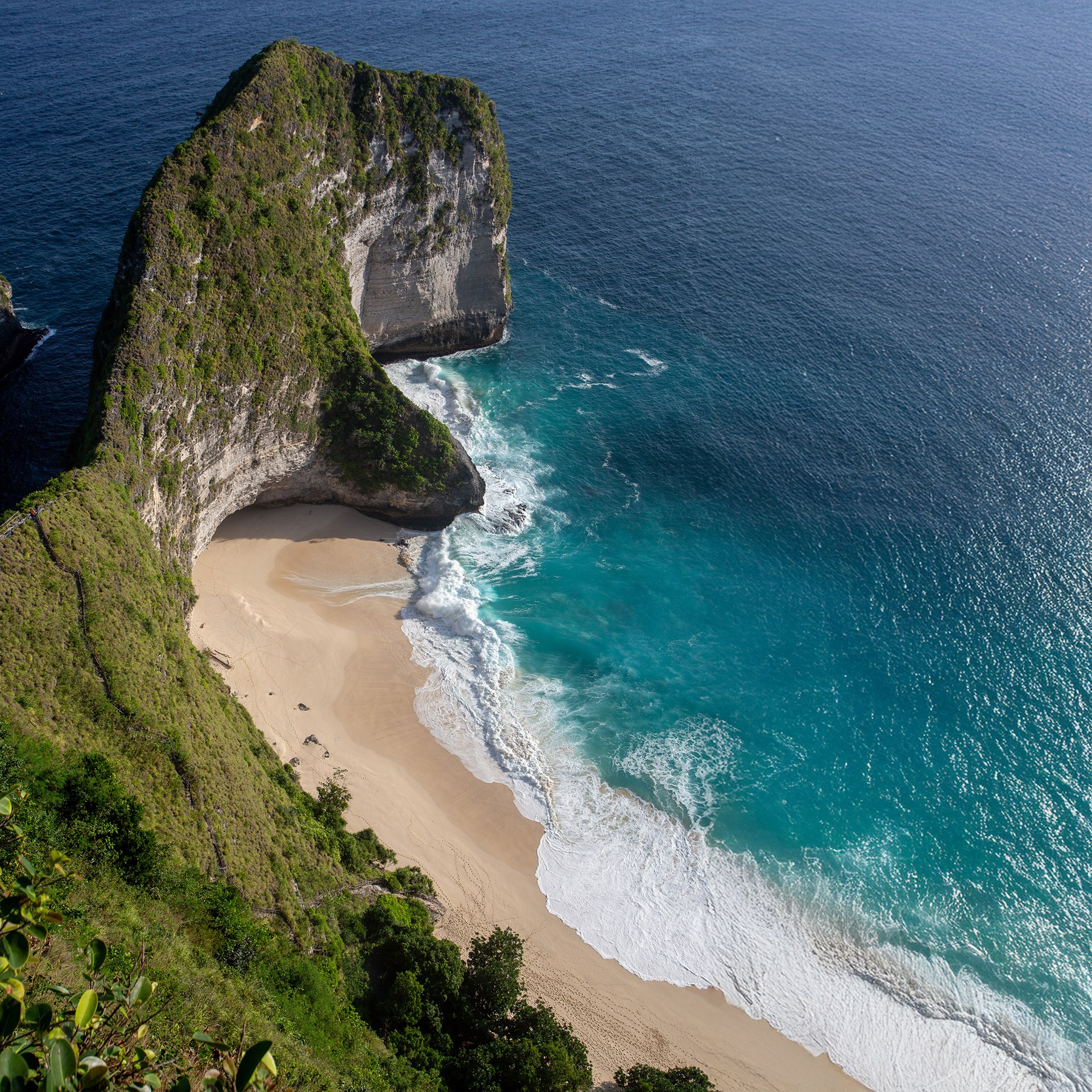 May 2 — 5 Sumbawa Whale Shark Tour via Lombok. Individual and couple Photographer in Bali — Bali Dream Photo