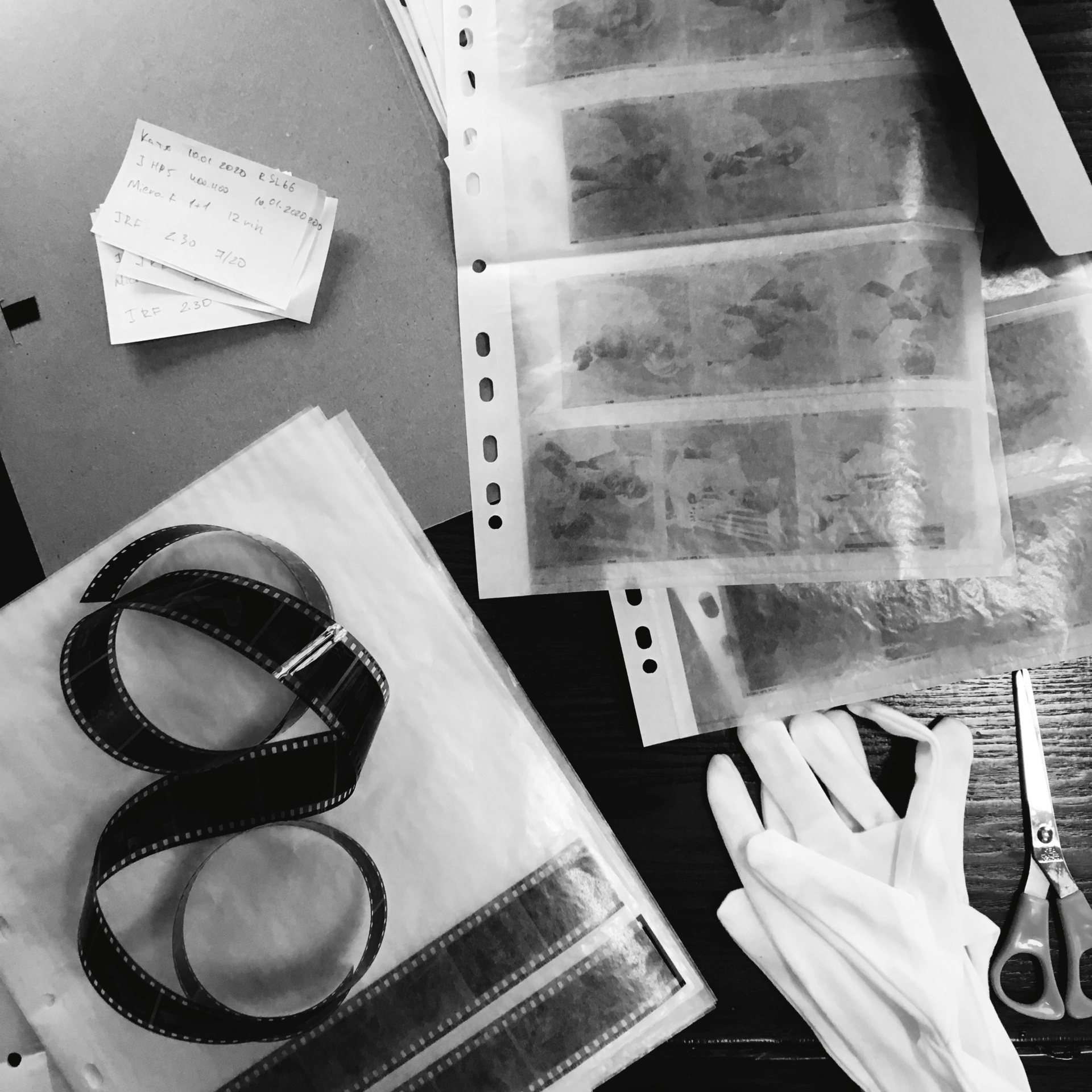 Film developing class. Polina Soyref, portrait photographer