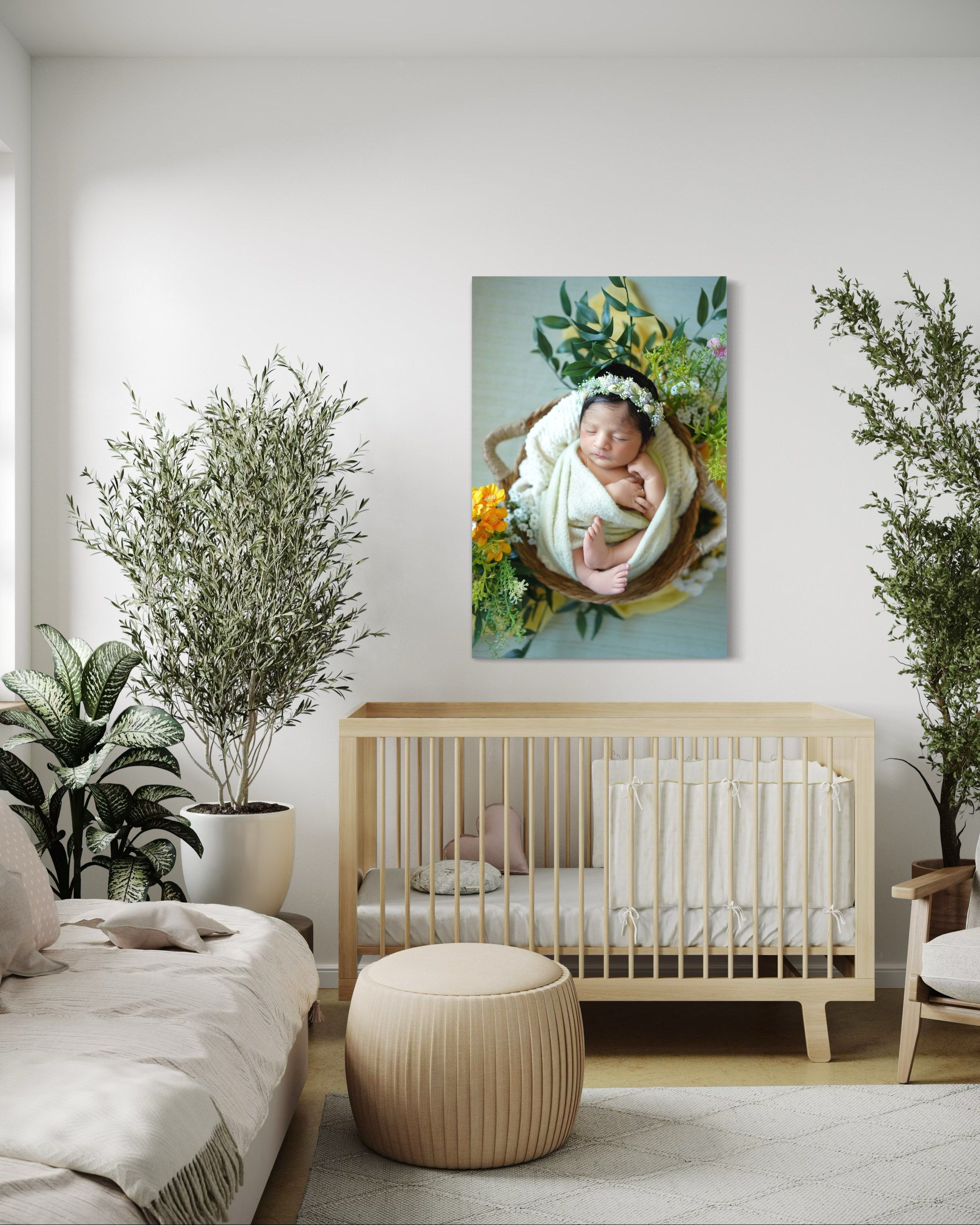 The Studio. Maternity, family and newborn photography in San Francisco Bay Area