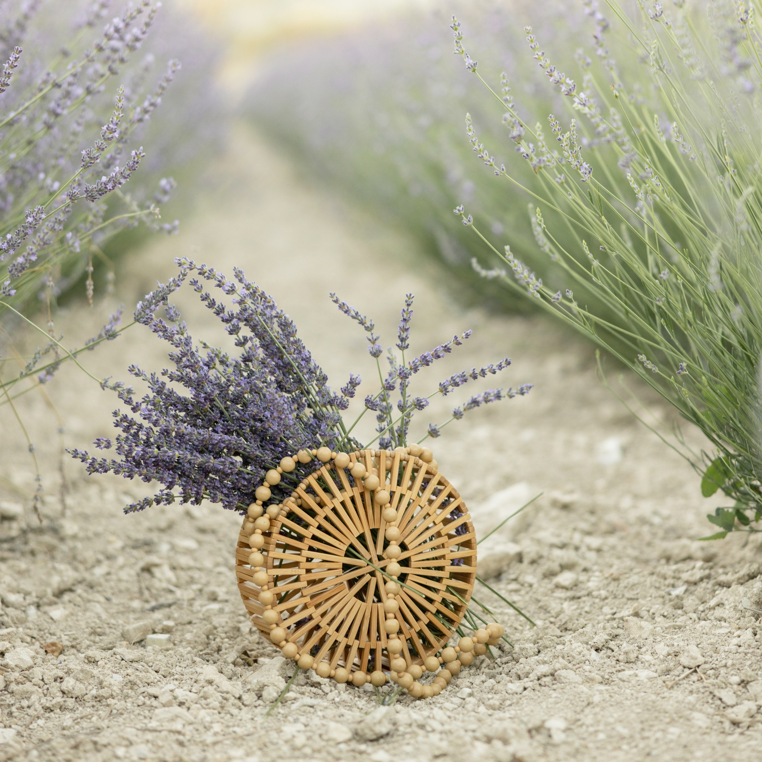 Lavender Garden. Your Guide to Cappadocia: Private Tours, Scenic Routes, Hot Air Balloon Rides, and More Adventures