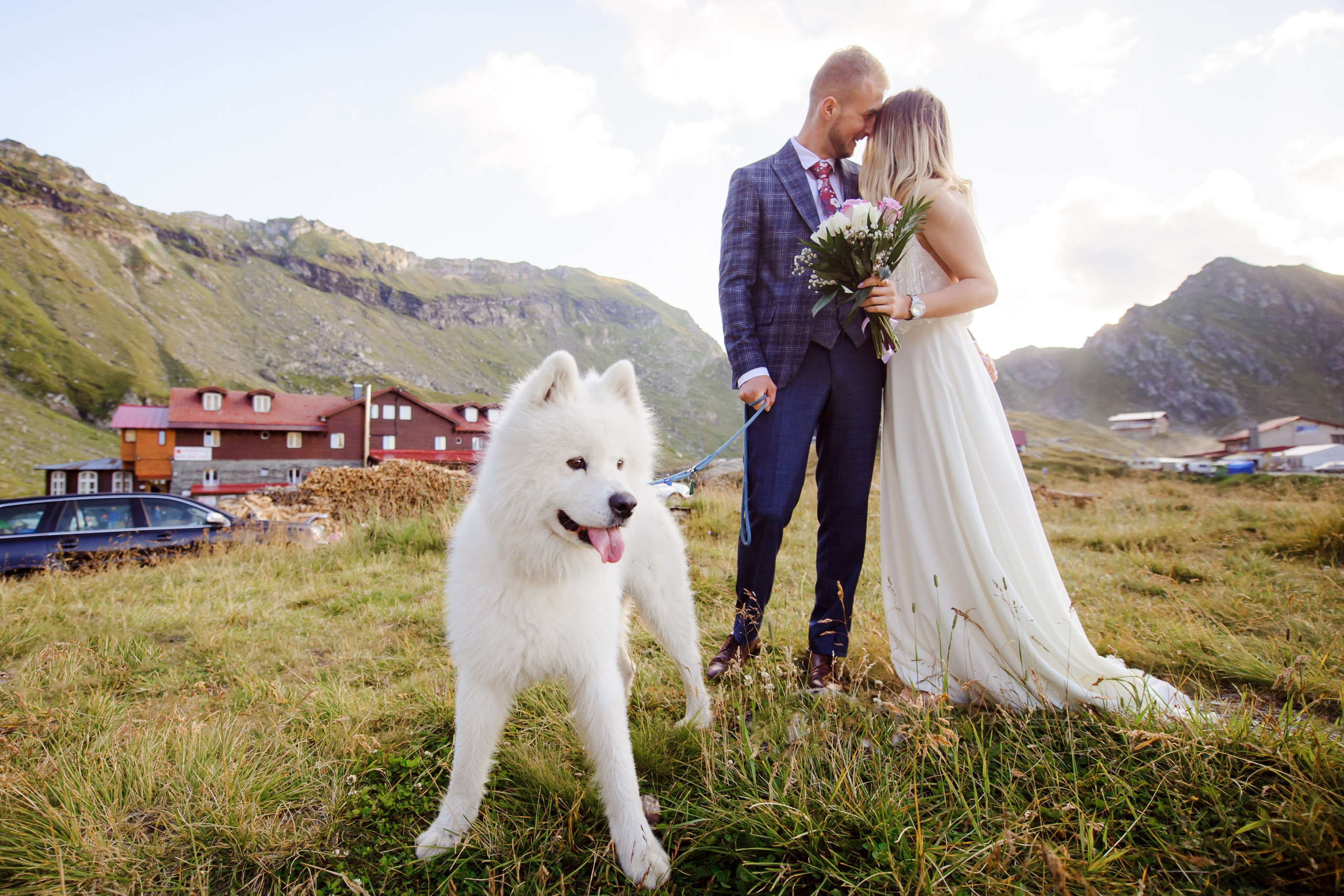 Pavel & Ana (cota 2034 Lacul Bâlea)