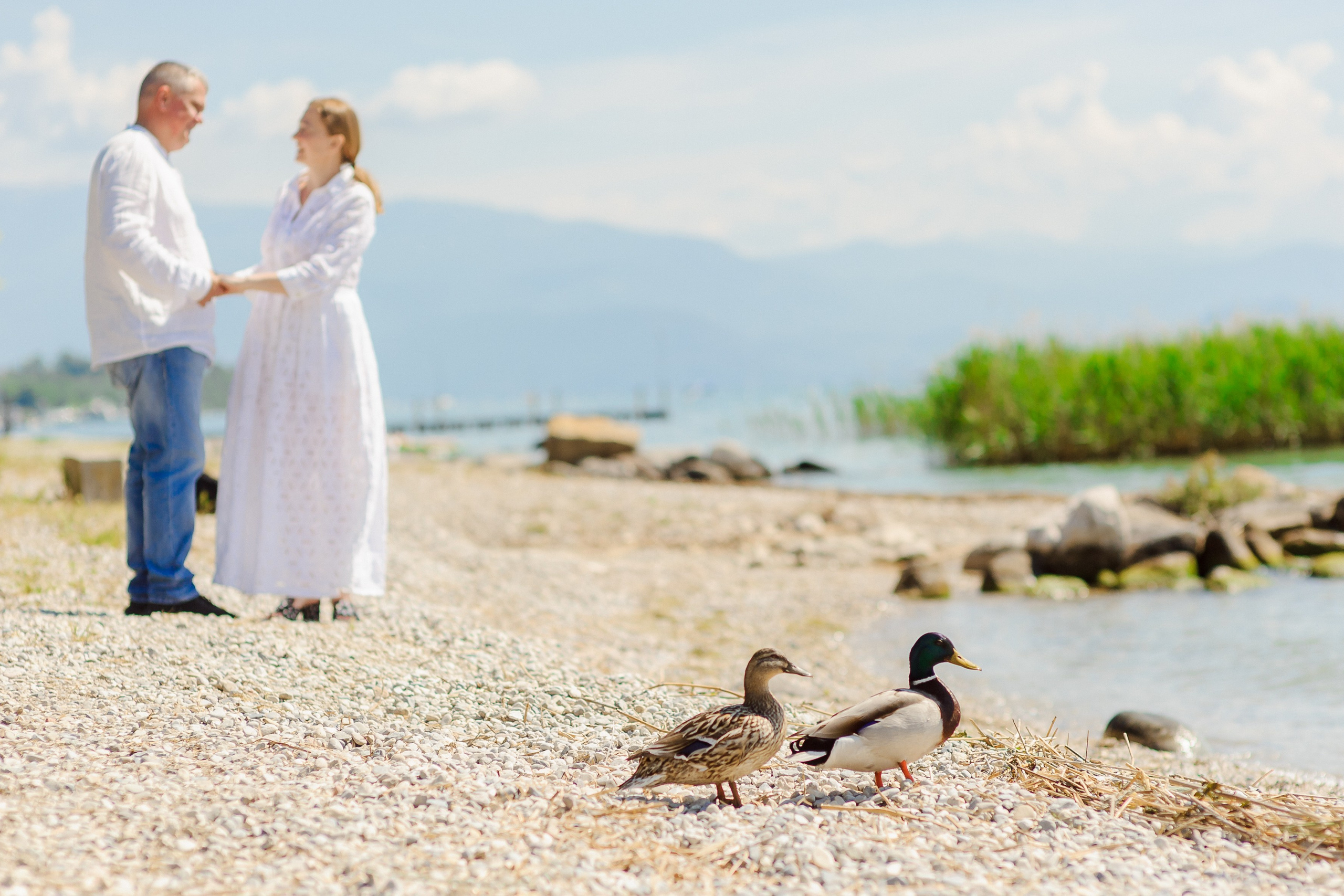 fam. Surguci (Lago di Garda)