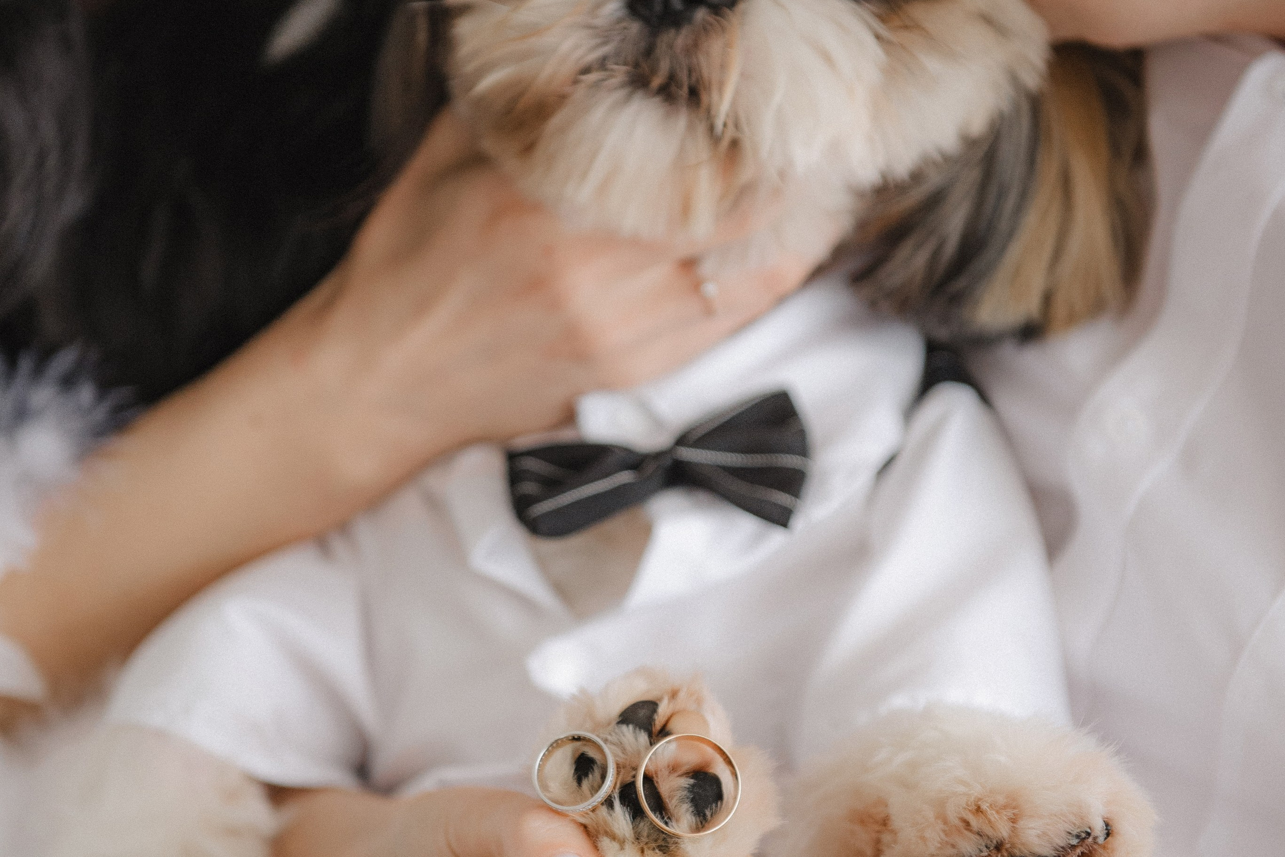 Анастасія та&nbsp;Владислав