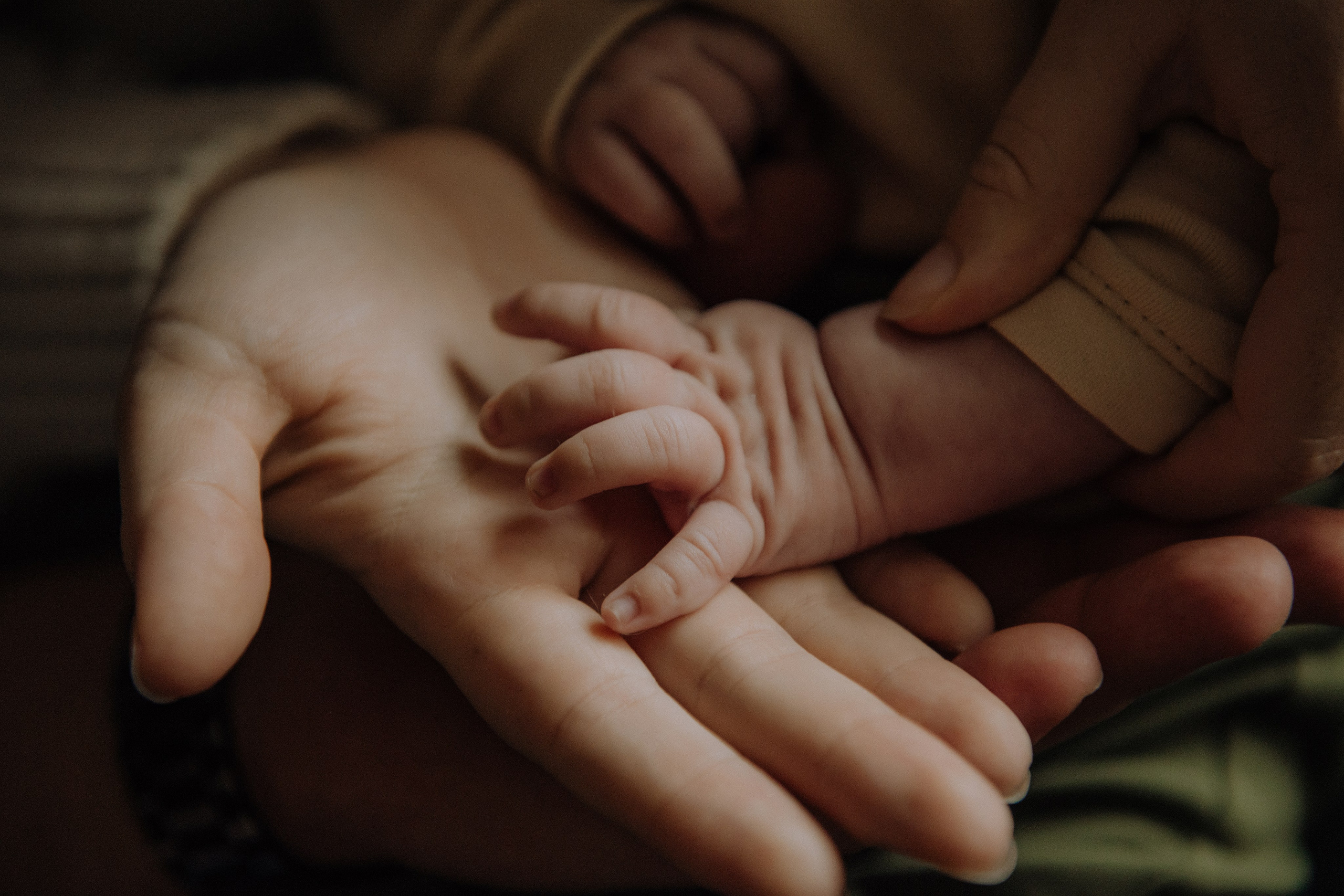 Давід домашня фотосесія