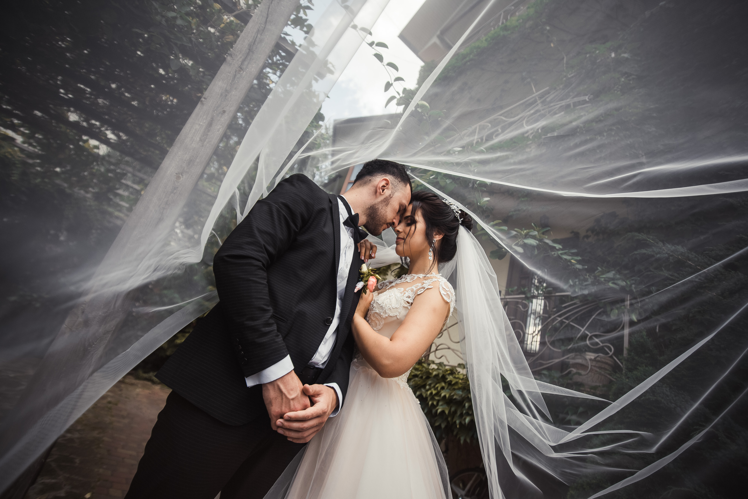 Євген Дарія