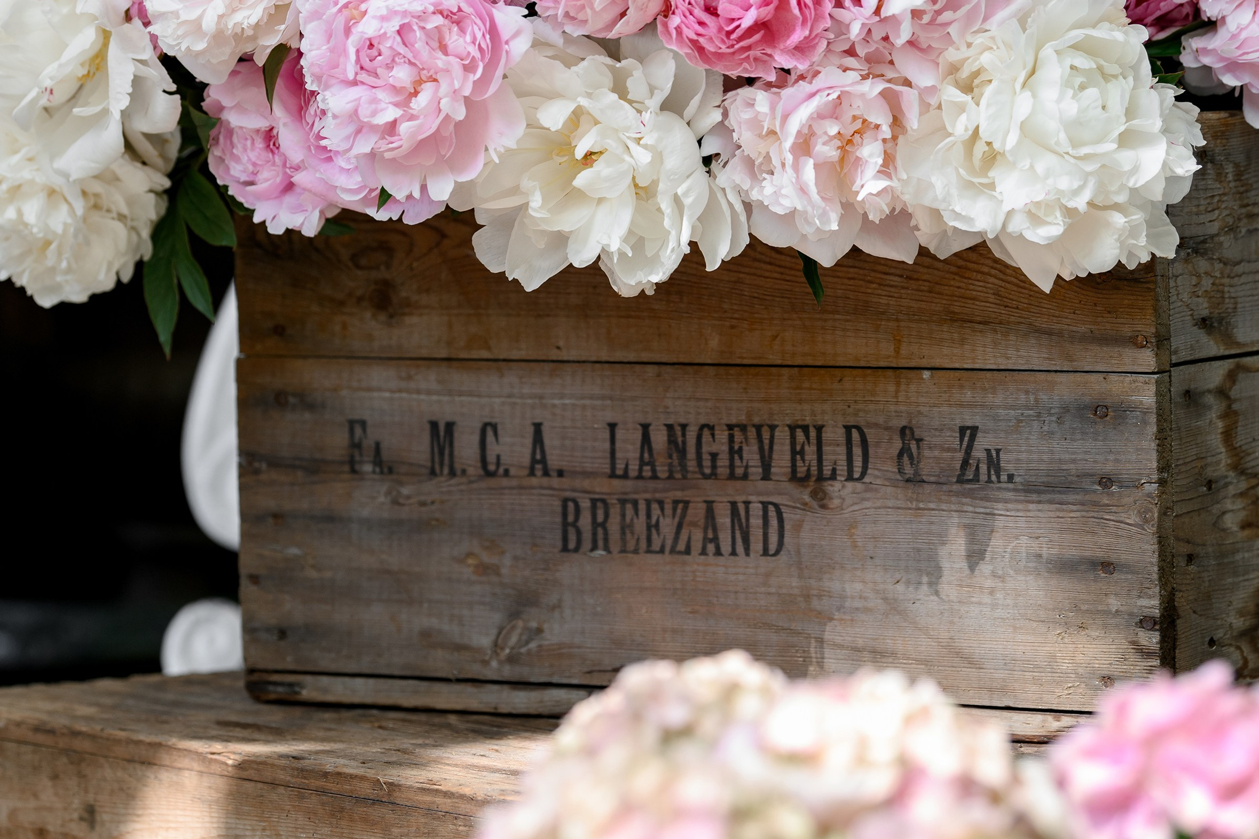 " KLOVSKYSAD summer "