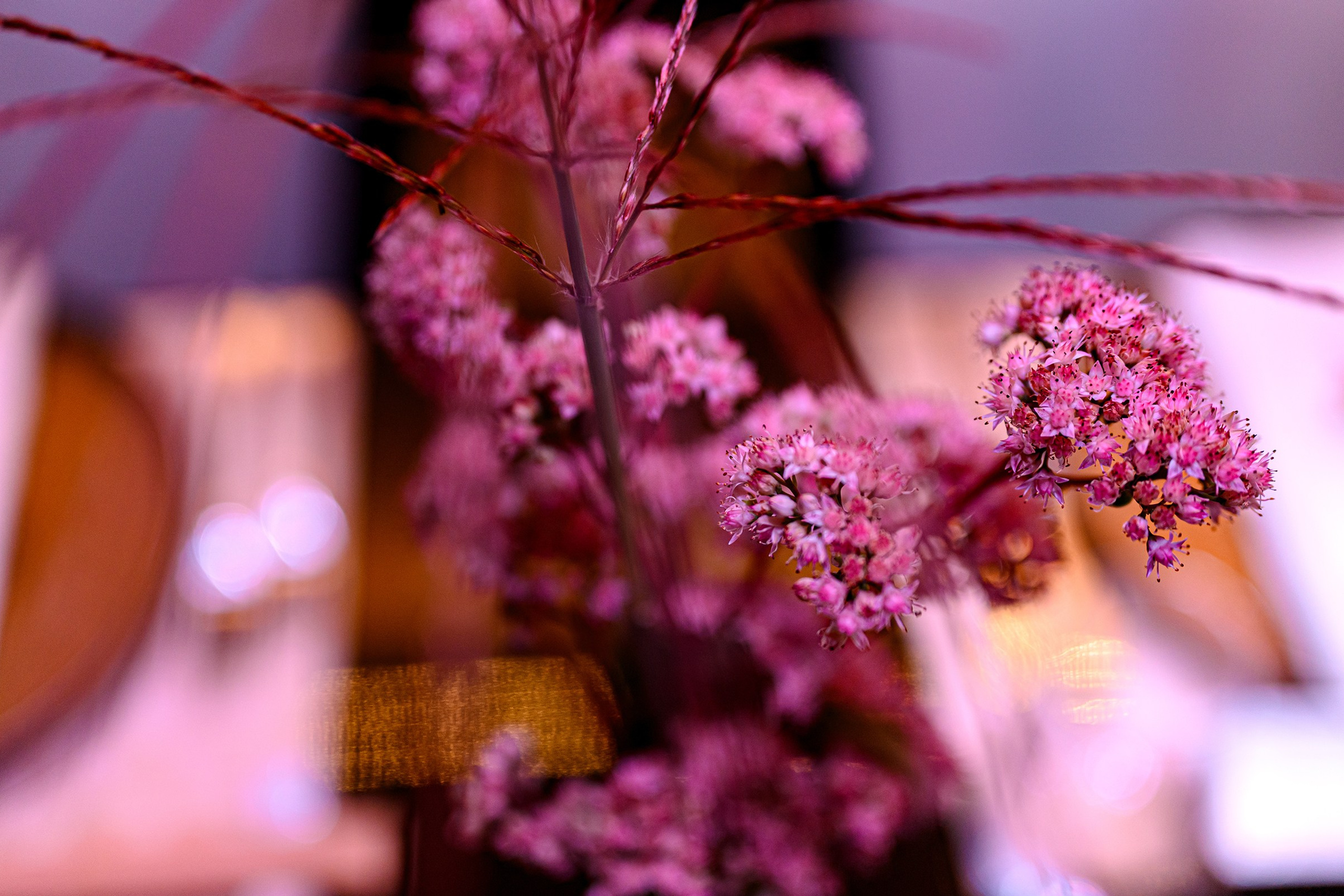 '' HAPPY BIRTHDAY ''