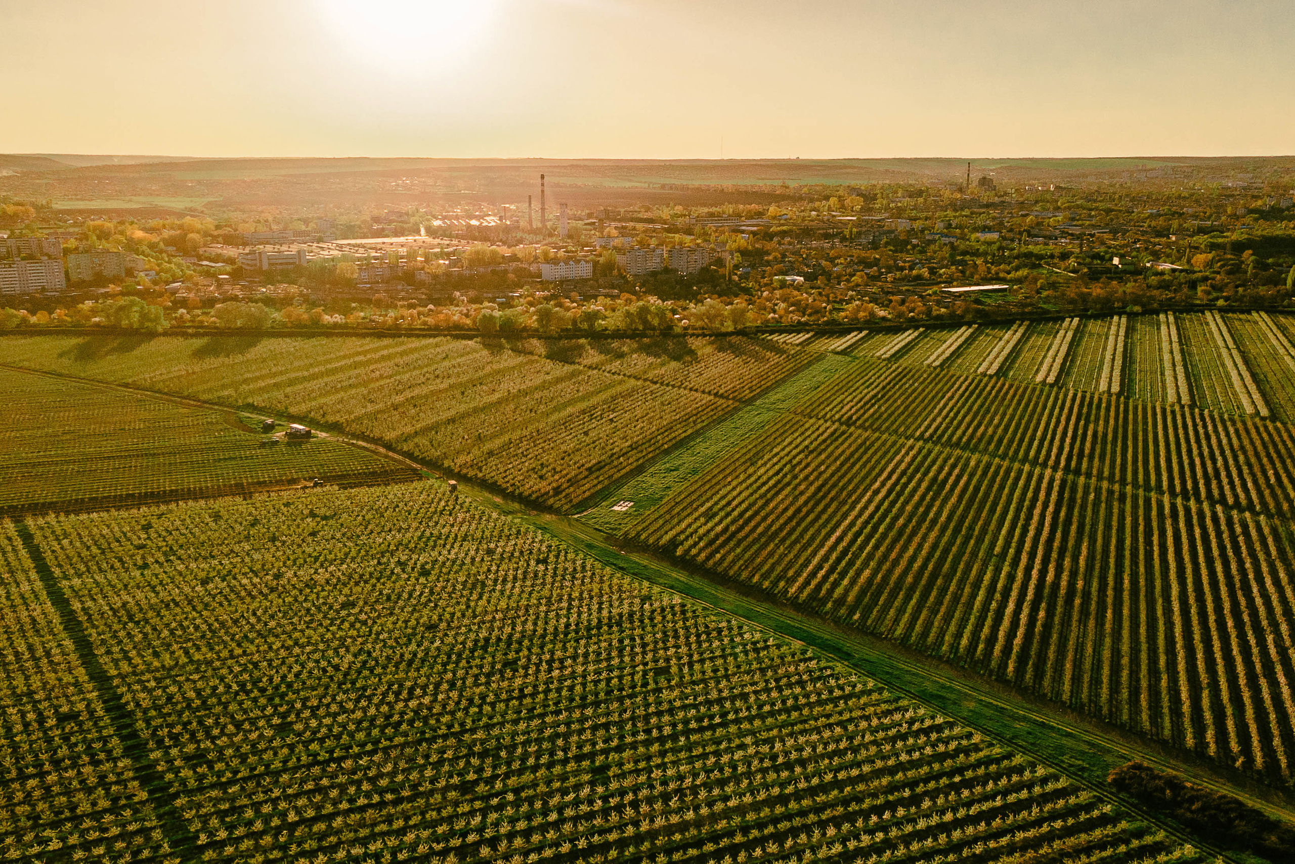 Прогулка по Днестру и саду