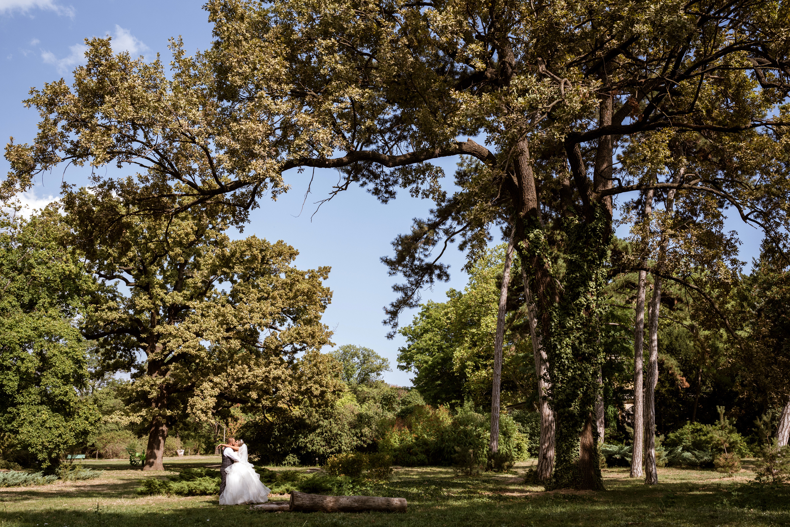 Свадьба Ромы и Вероники