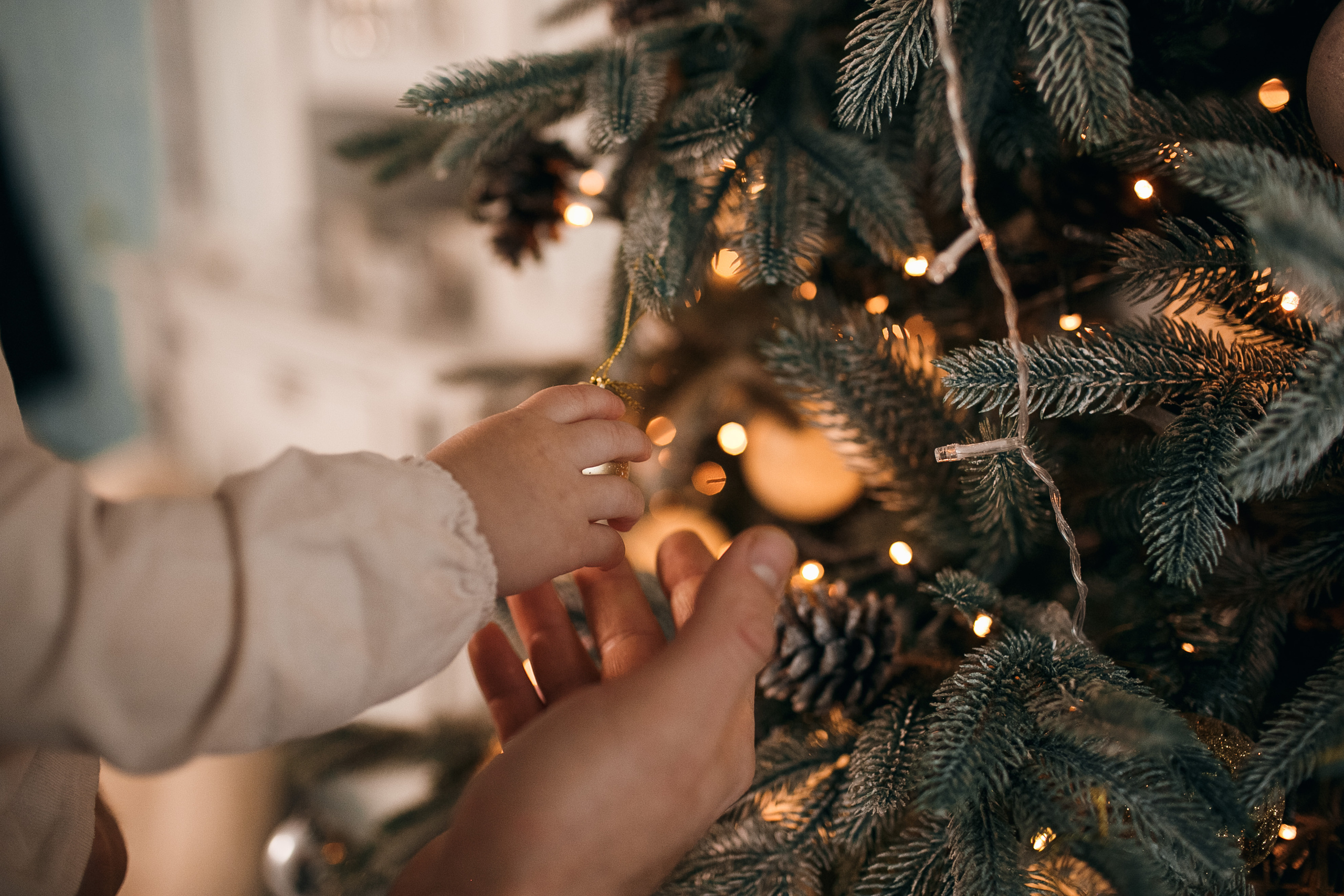 Евгений и Виктория 2020