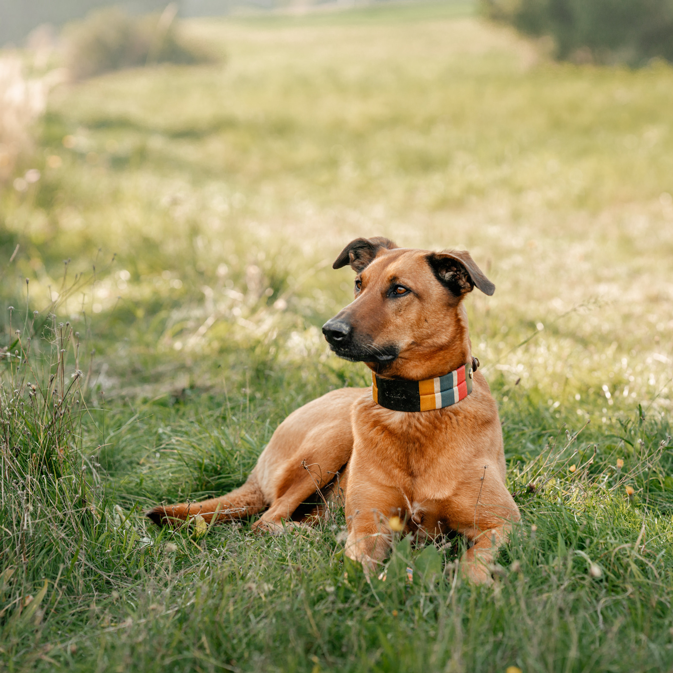 Iryna Korenkova-fotograf-frankfurt-am-main. Fotografin in Hanau|Frankfurt|Mainz|Iryna Korenkova