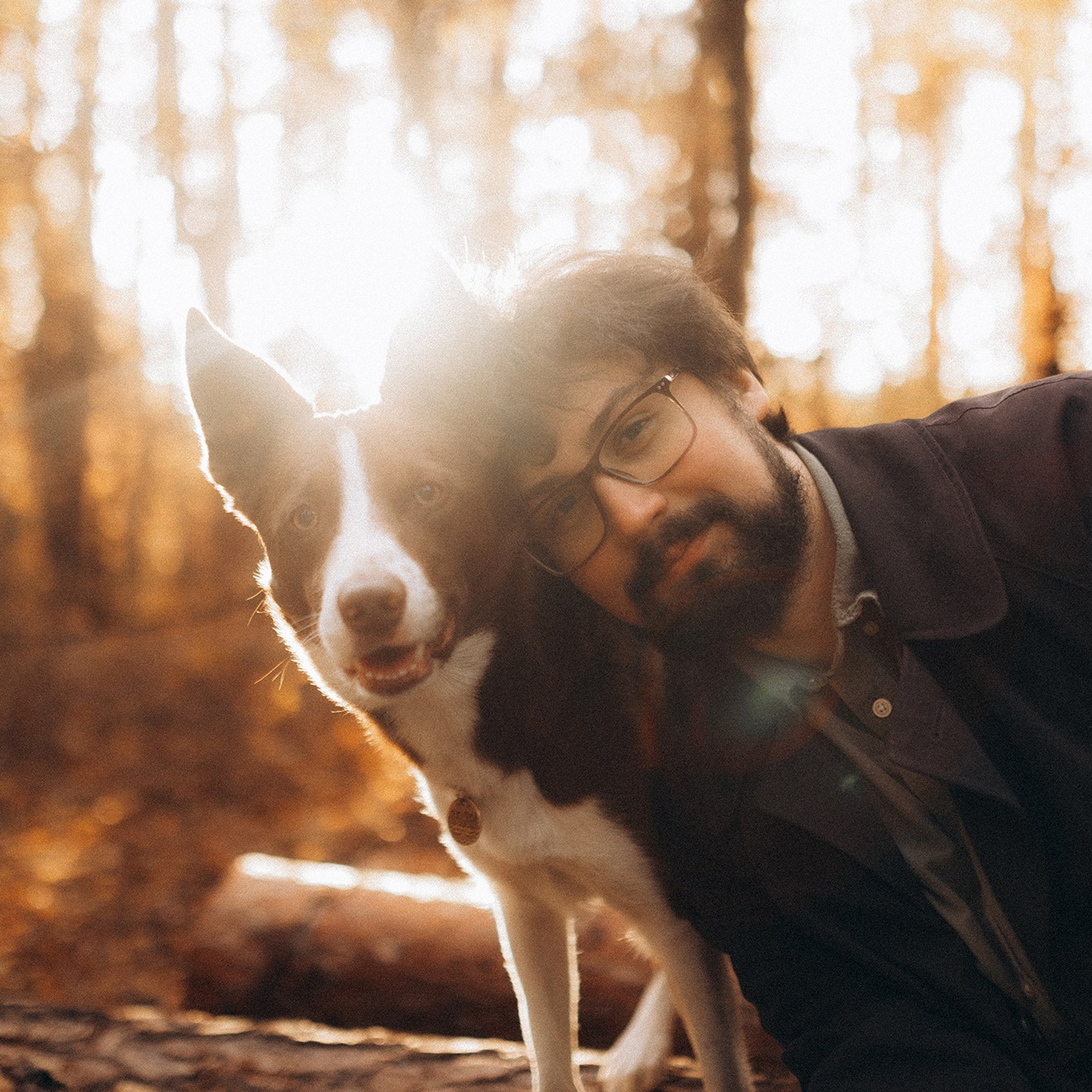 Відгуки. Фотограф-анімаліст Київ