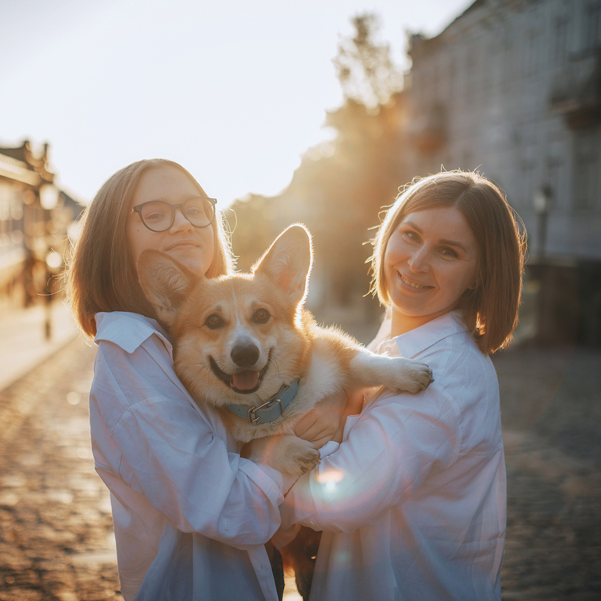 Родина Шерлока