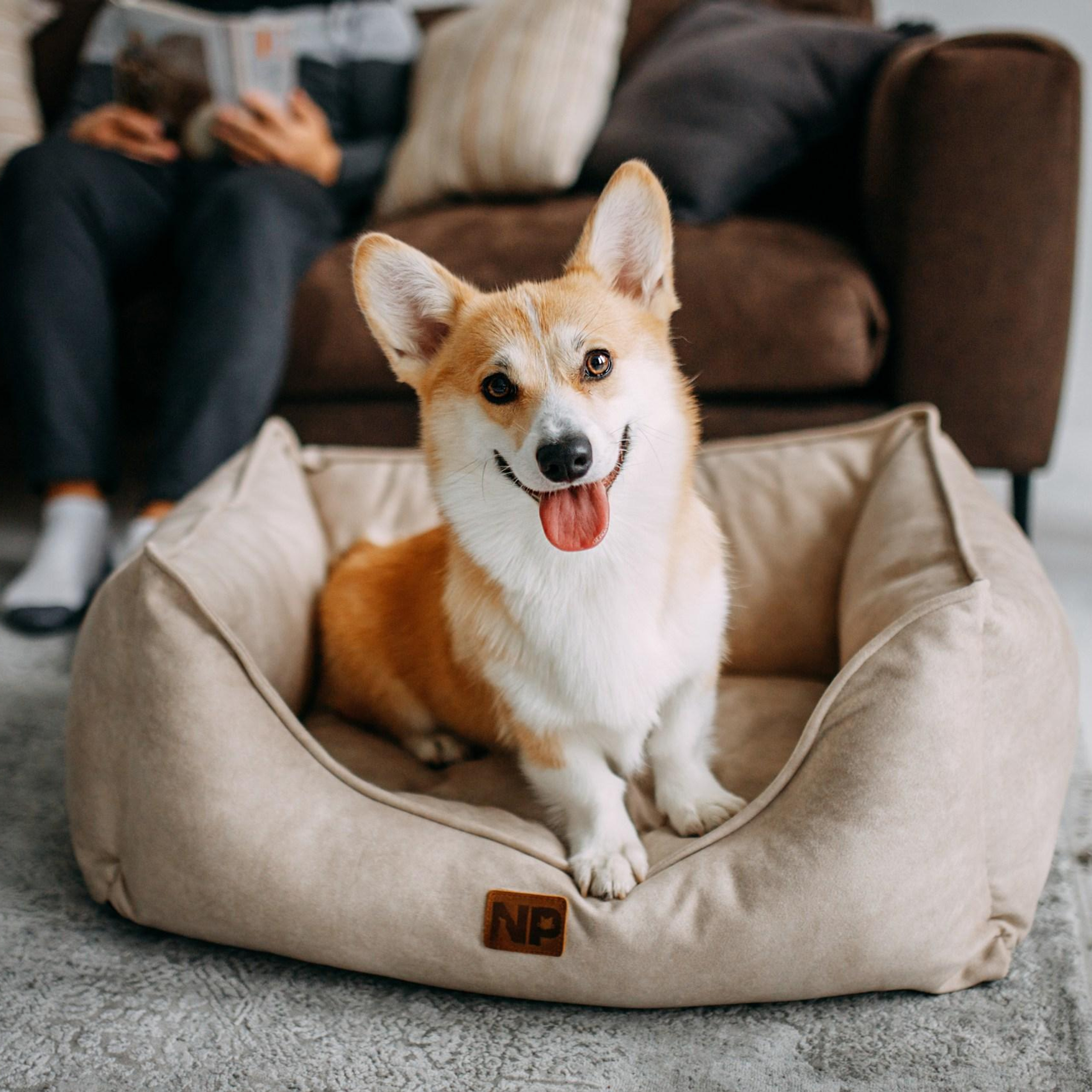 Noble Pet (зйомка лежанок)