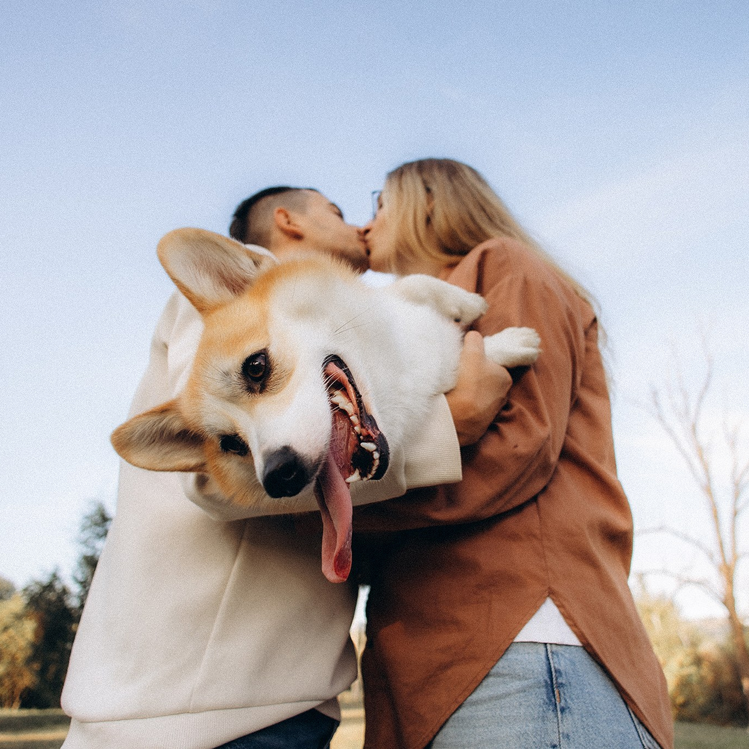 Відгуки. Фотограф-анімаліст Київ