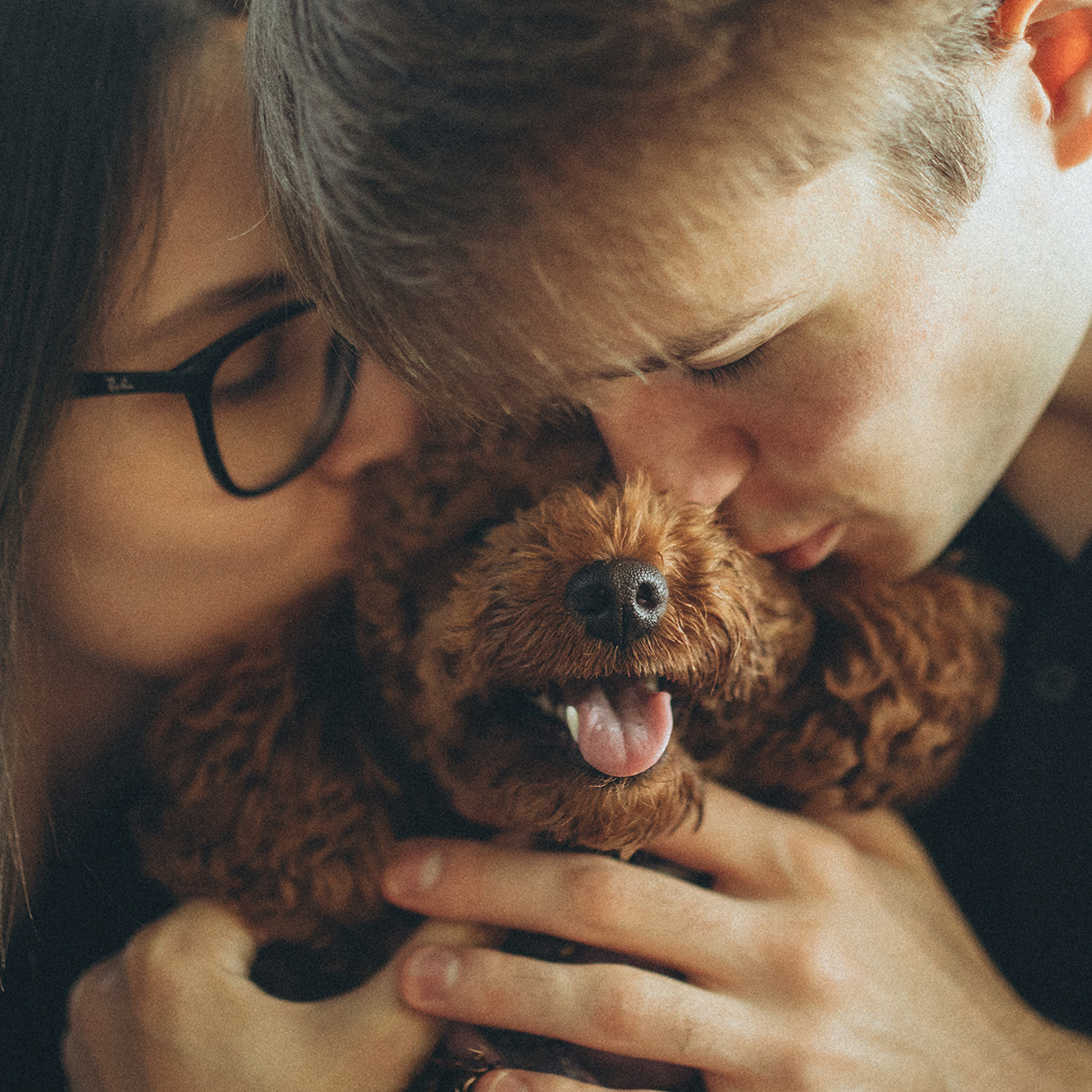 Родина Дейзі