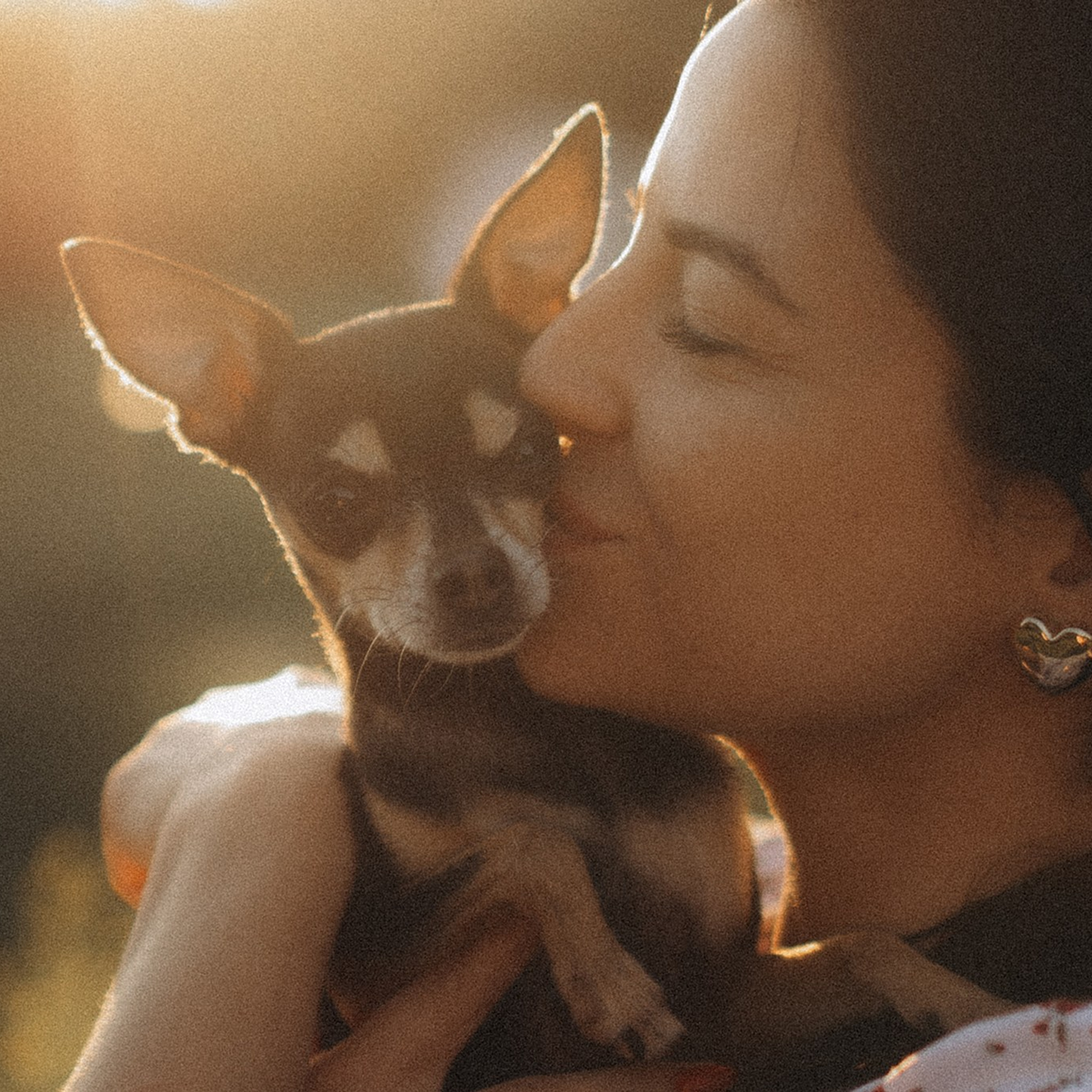 Відгуки. Фотограф-анімаліст Київ