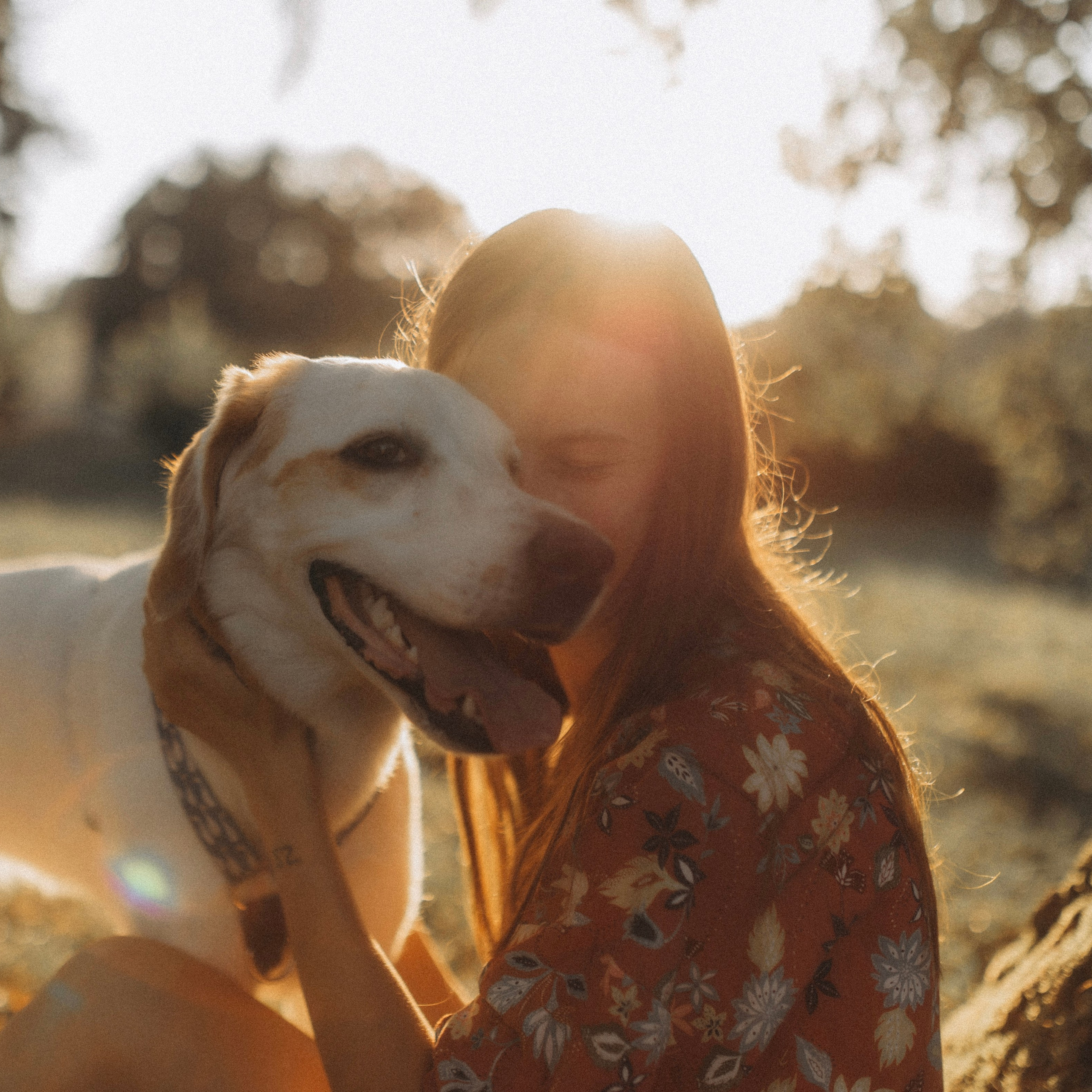 Відгуки. Фотограф-анімаліст Київ