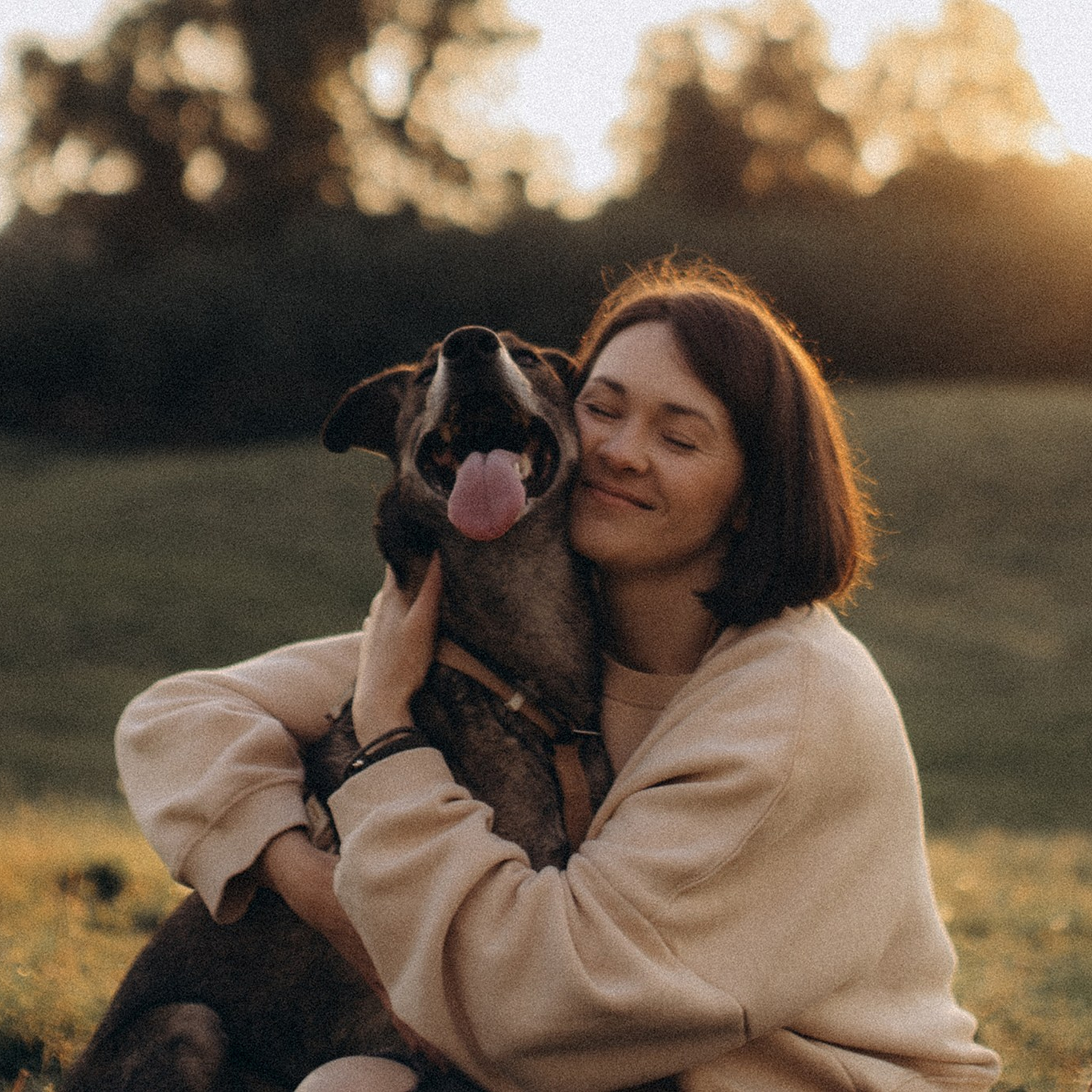 Фінік та&nbsp;Еля