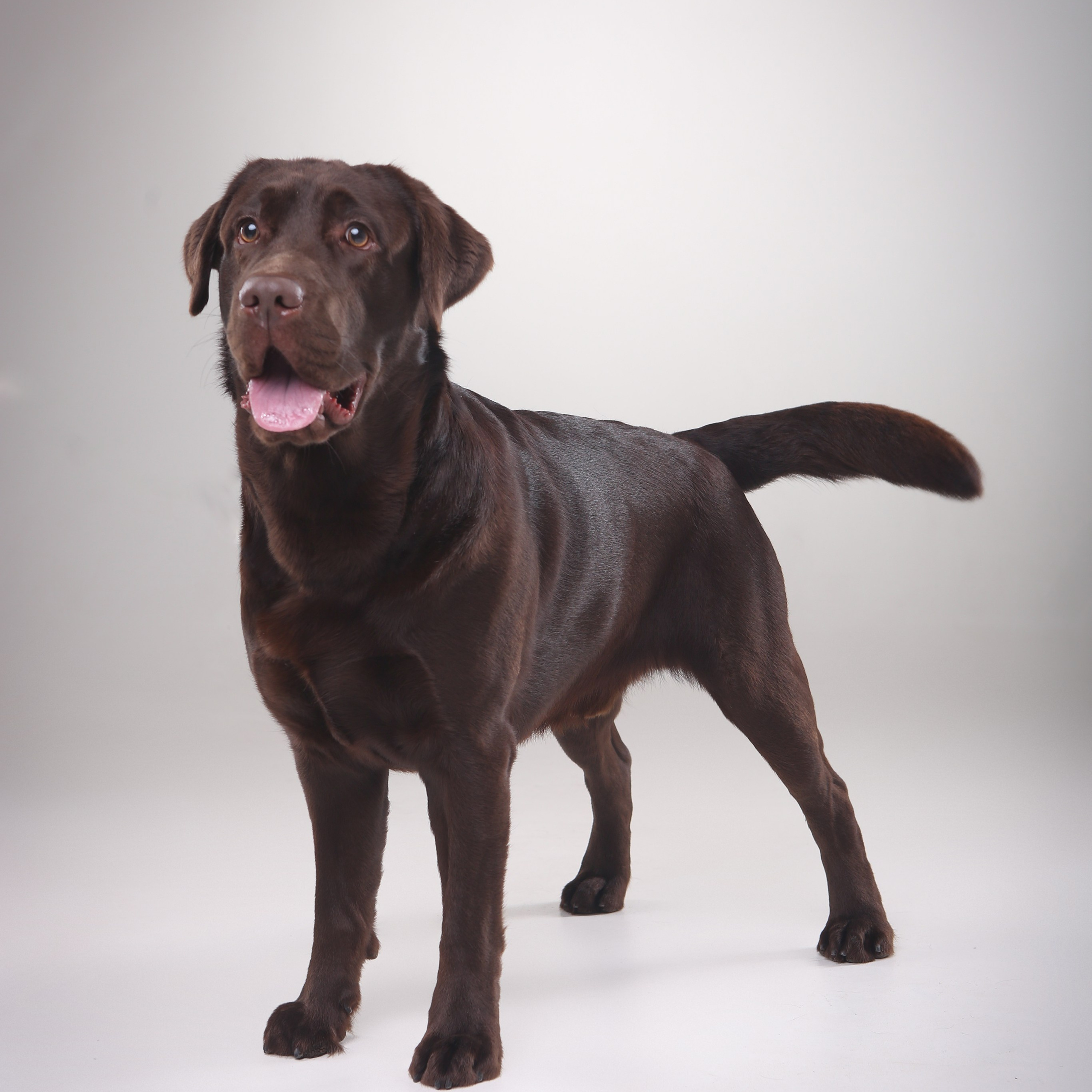 Reviews. Pets and people photographer Kateryna Mumzhynska