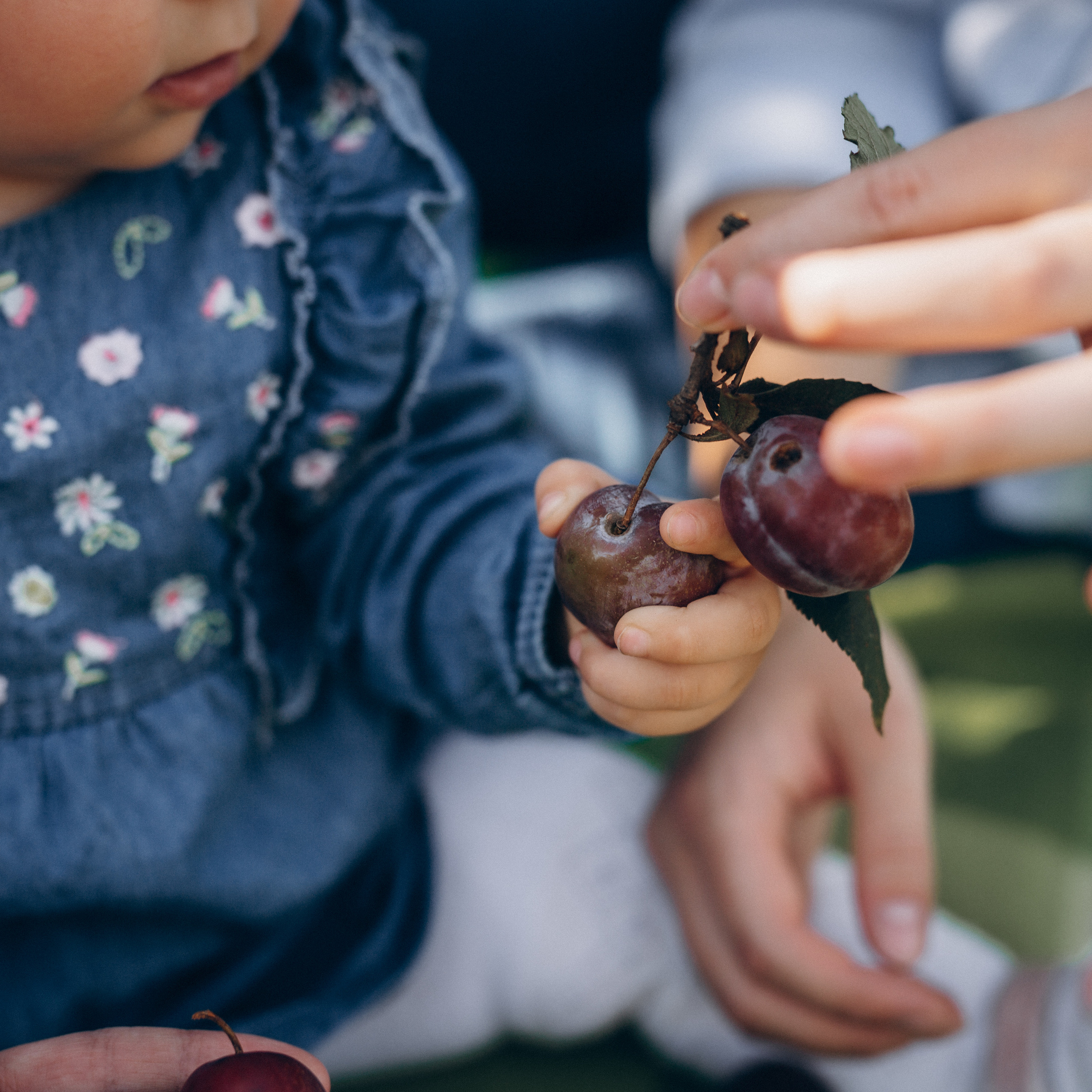 Feedback. Фотограф Тетяна Бродзяк