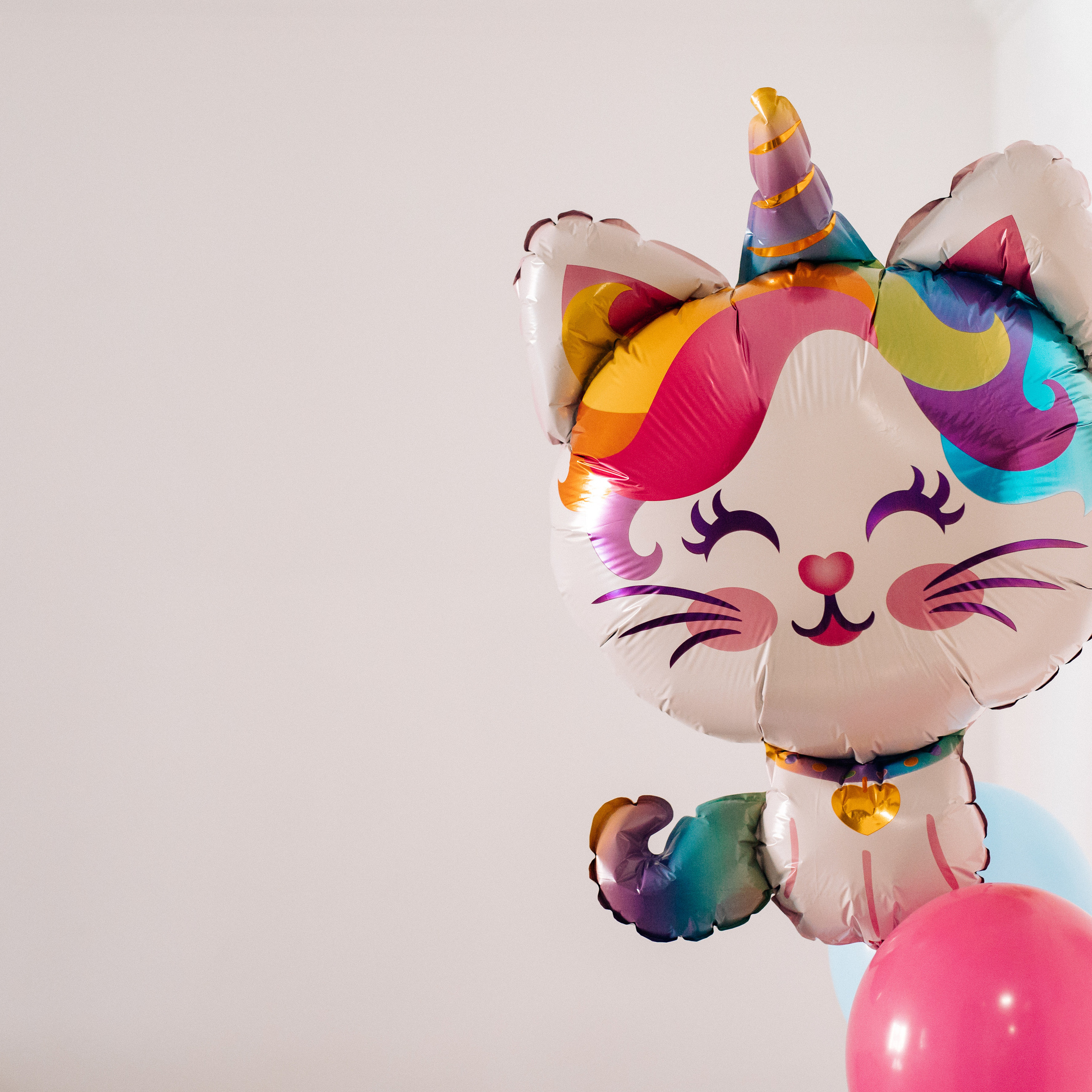 Feedback. Фотограф Тетяна Бродзяк