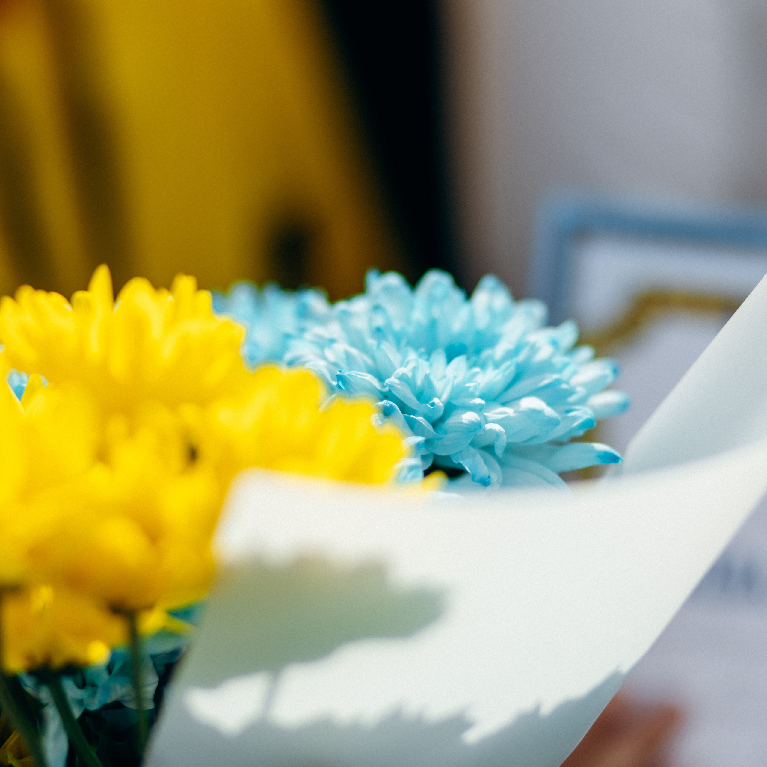 Feedback. Фотограф Тетяна Бродзяк