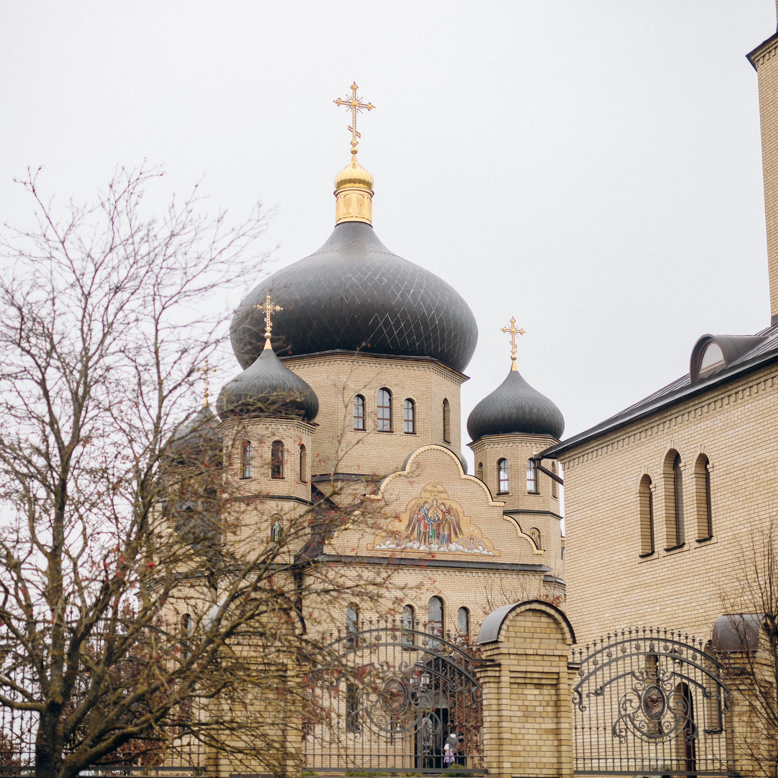 Feedback. Фотограф Тетяна Бродзяк