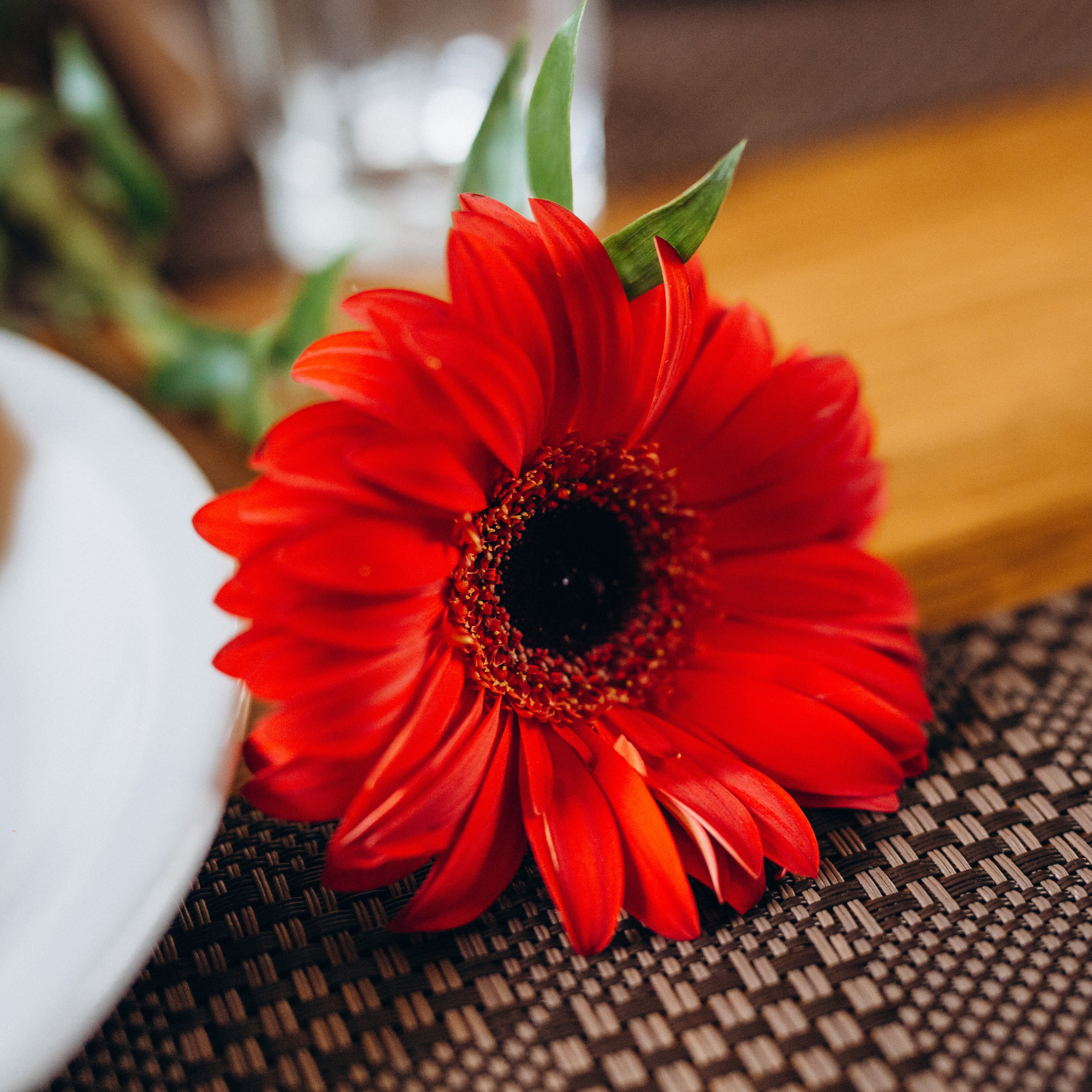 Feedback. Фотограф Тетяна Бродзяк