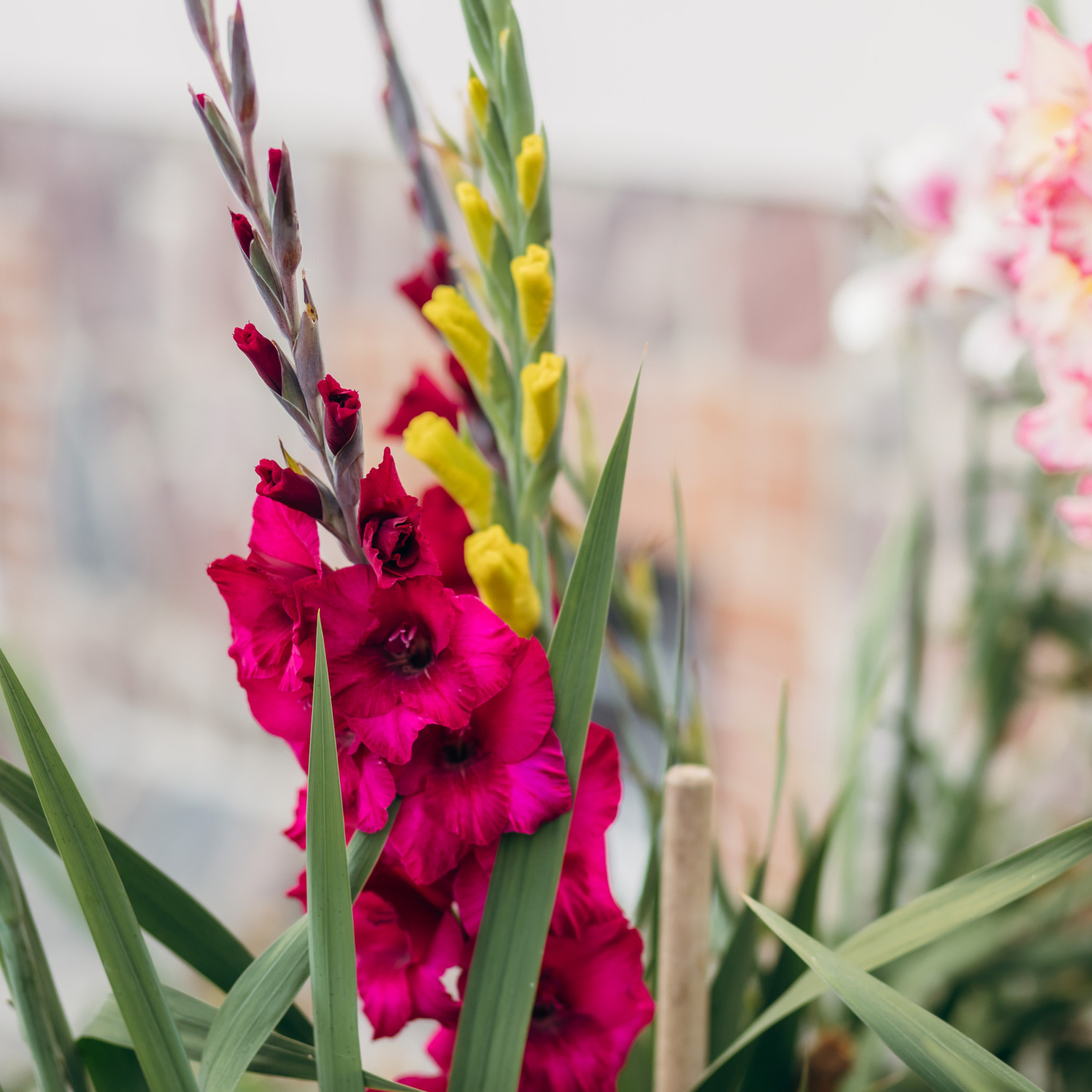 Feedback. Фотограф Тетяна Бродзяк