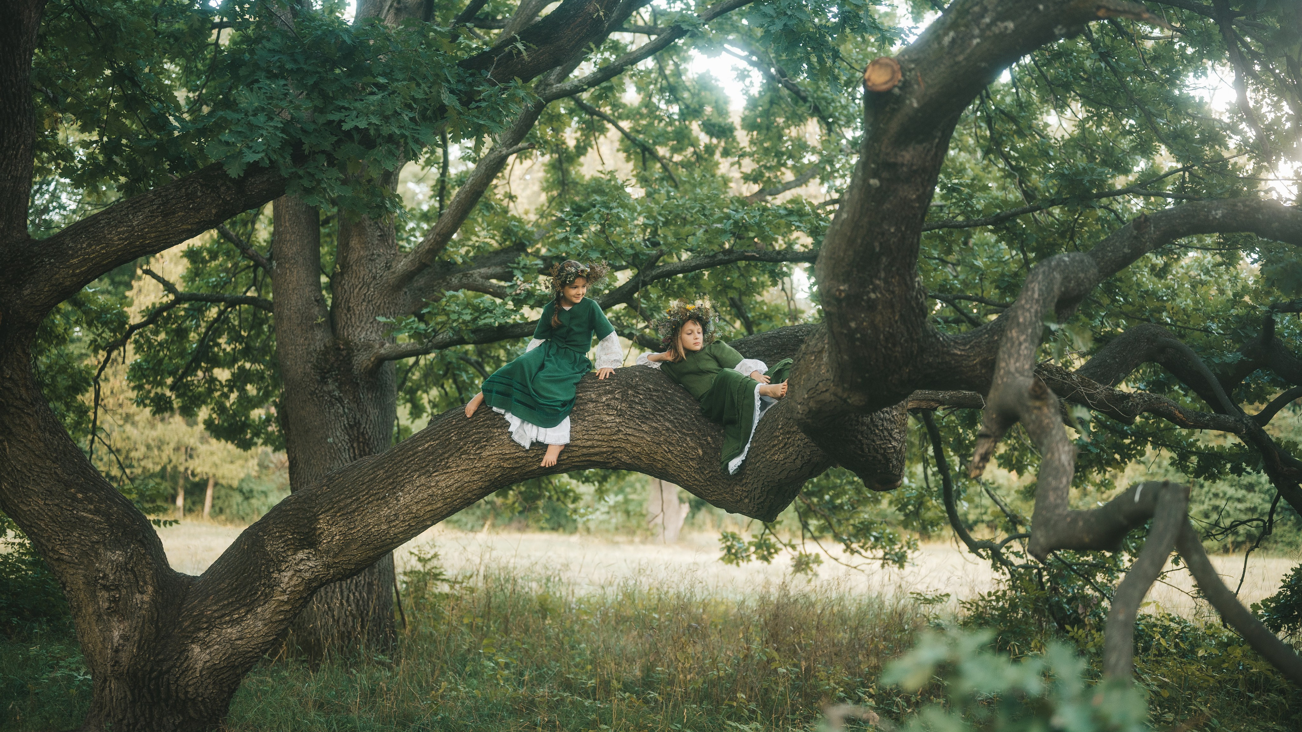 Лісові мавки