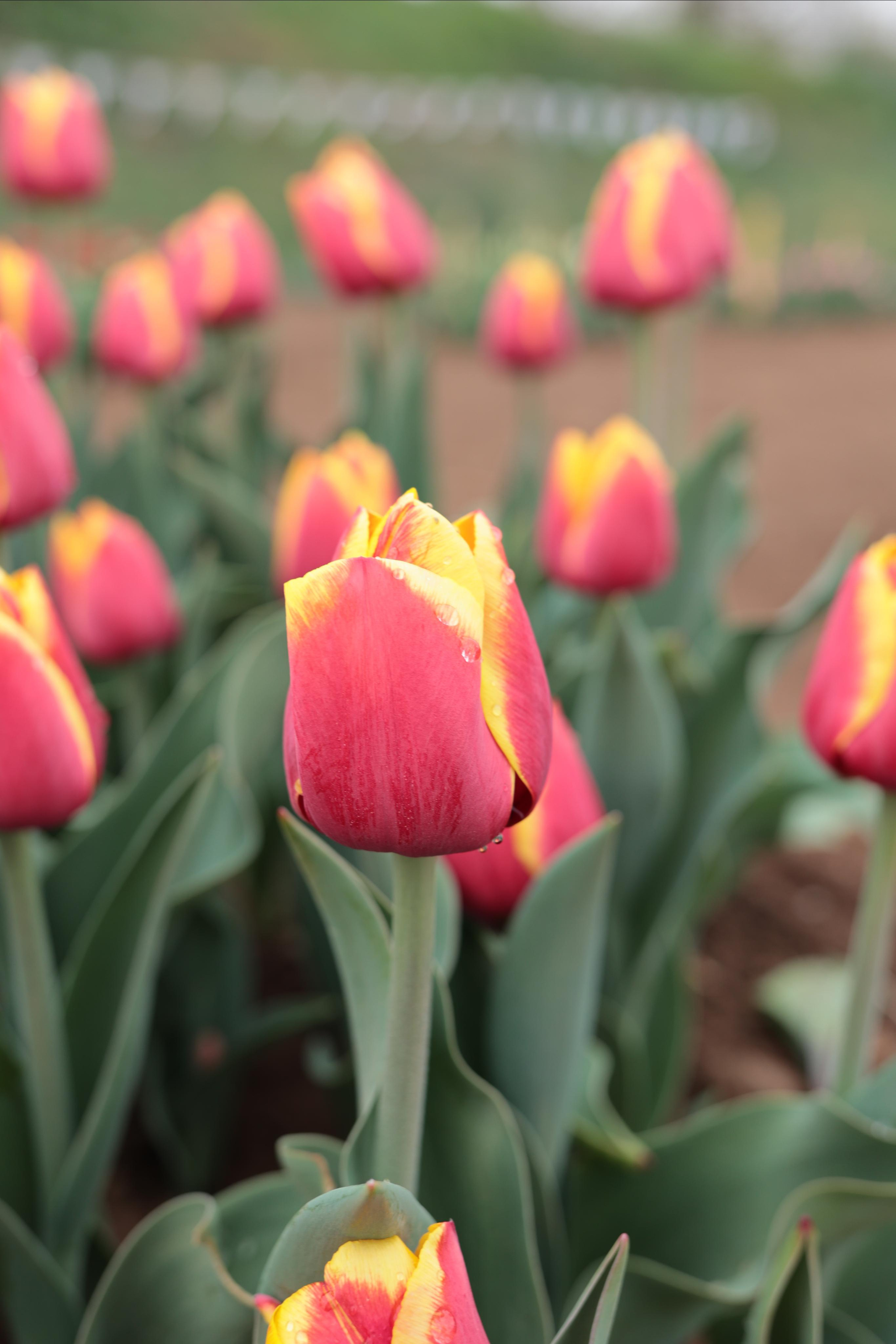 Статьи о легальной работе бьюти-мастером в Италии. Легализация и продвижение бьюти-бизнеса в Италии