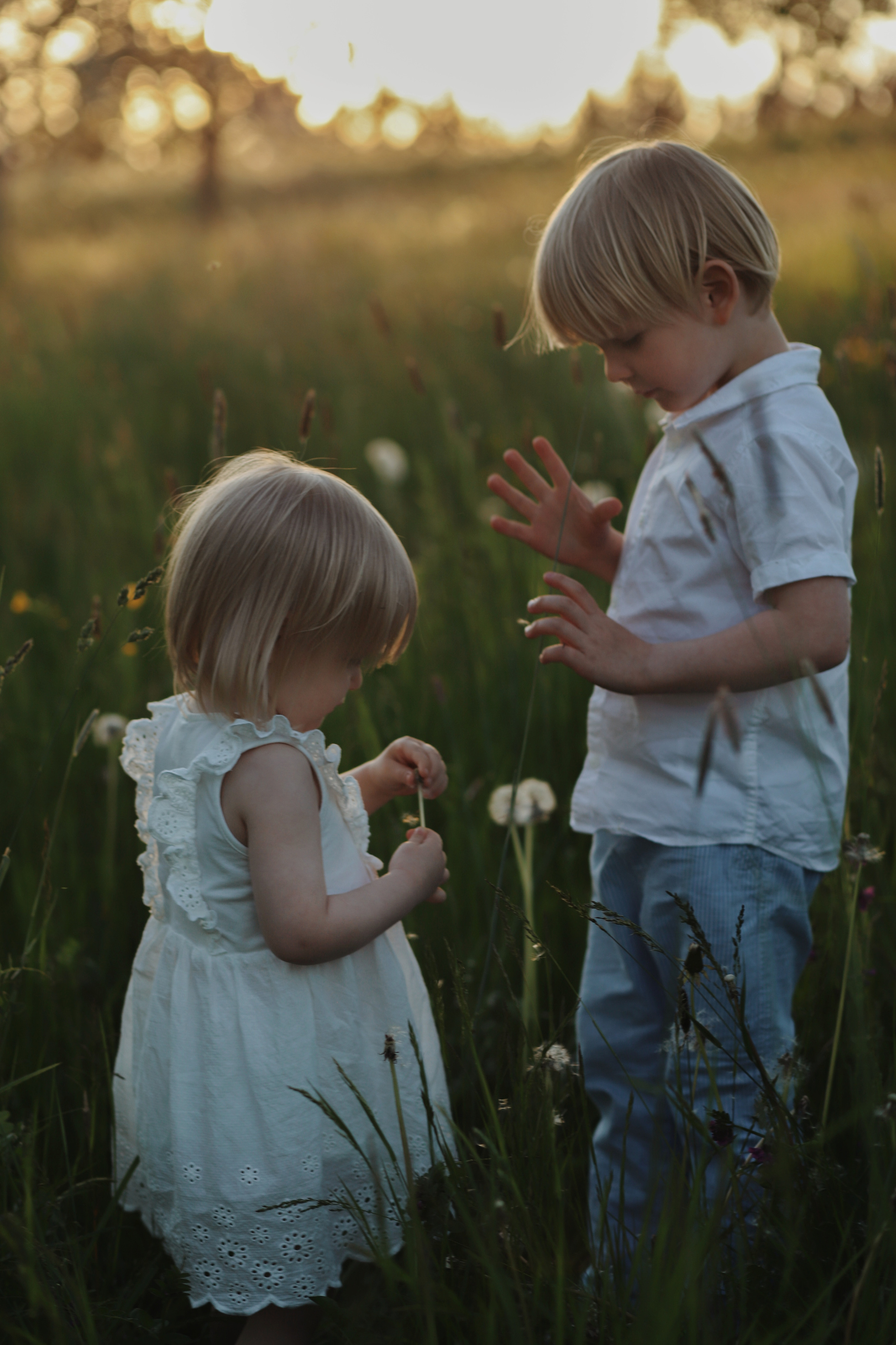 Sommerfotografie