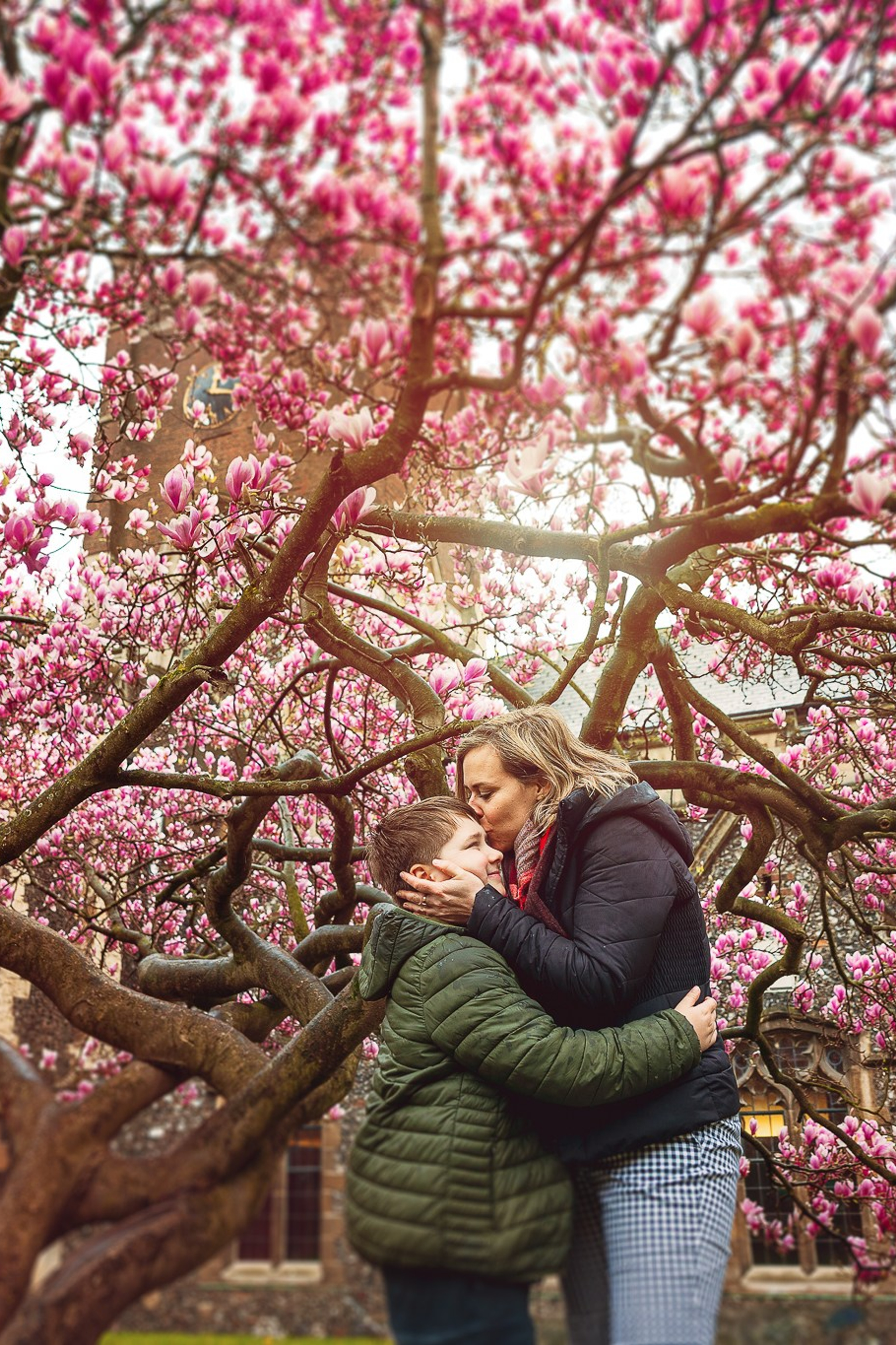 Stories. Giandamorgana