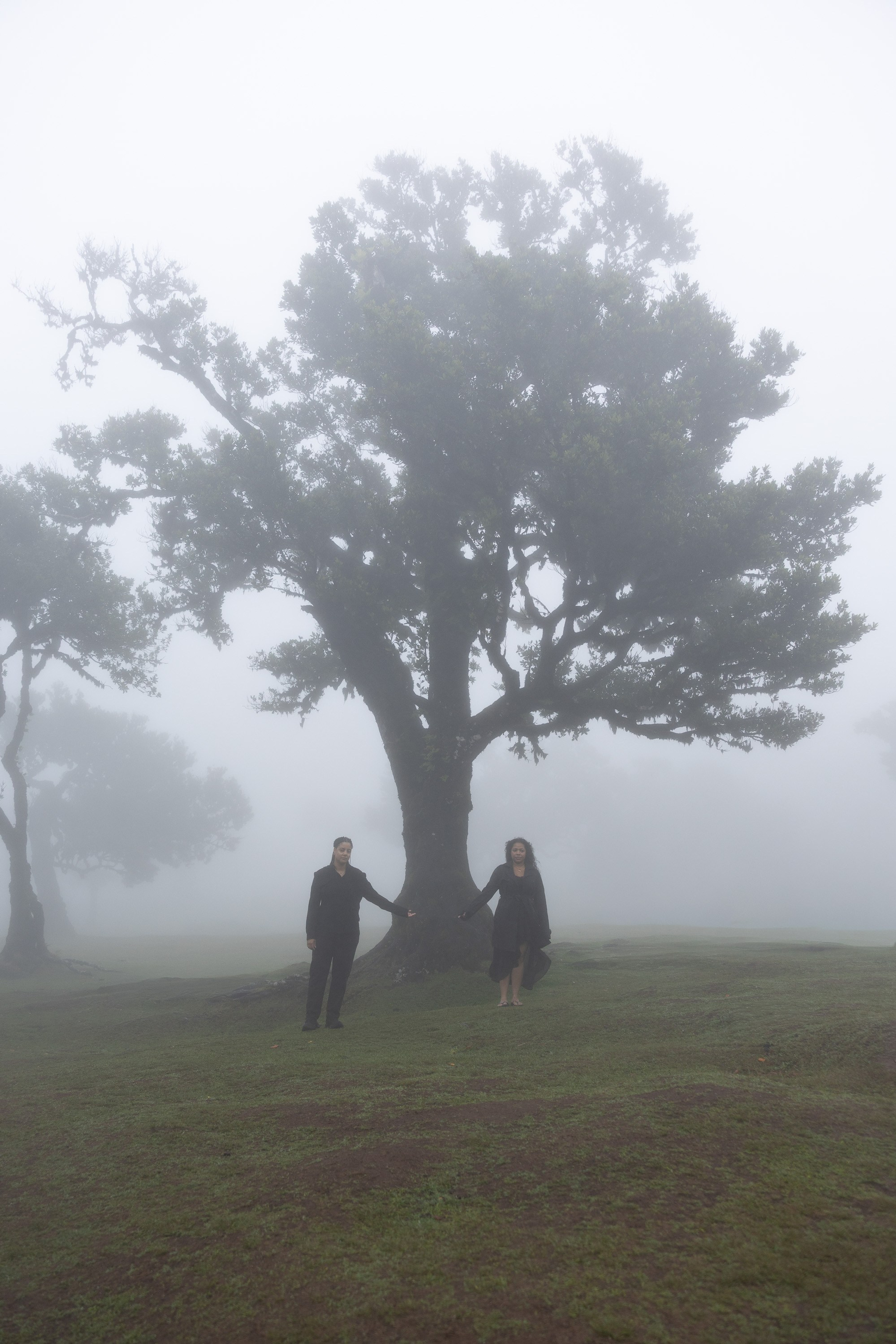 New photoshoots in Madeira: capture your moments!