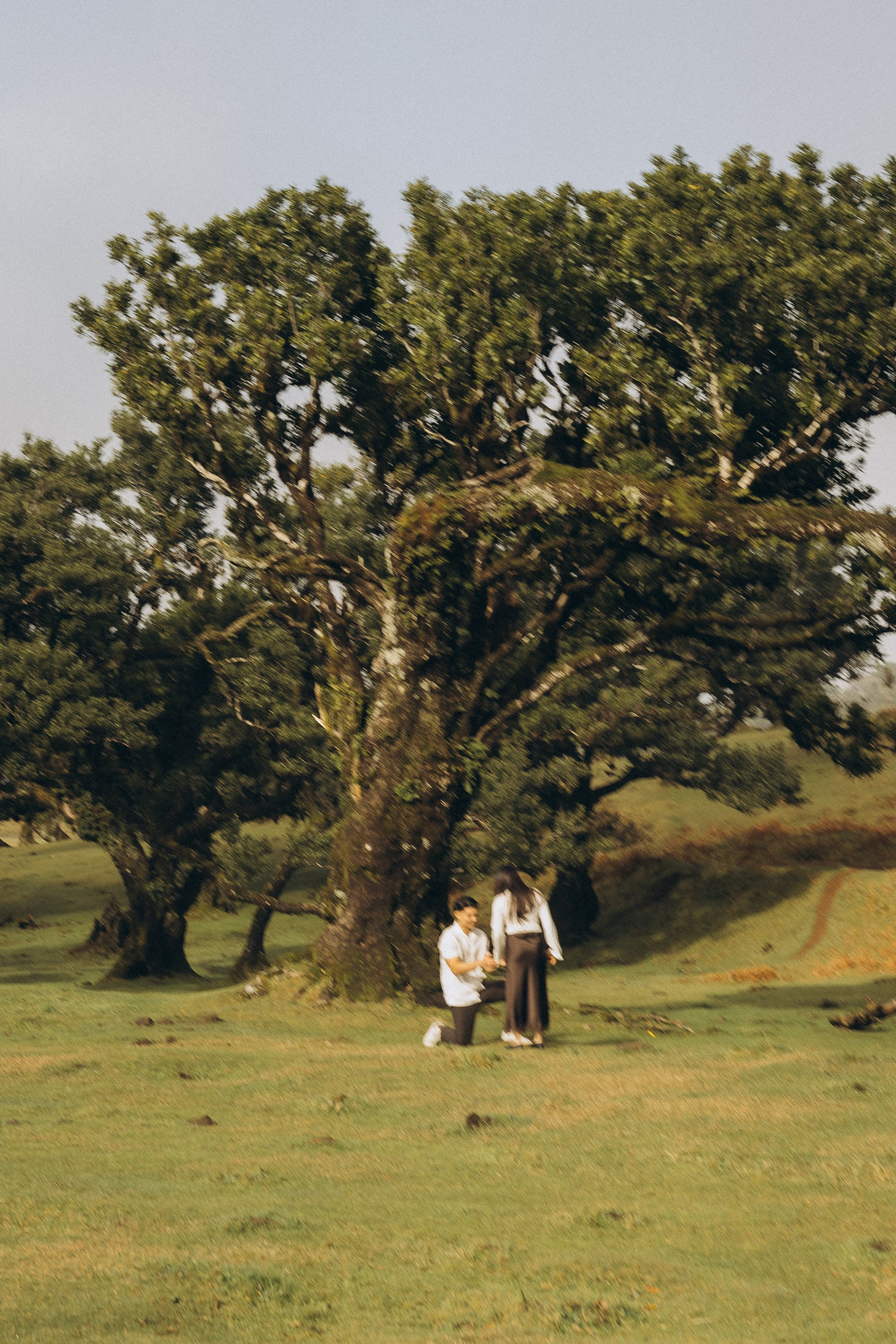 New photoshoots in Madeira: capture your moments!